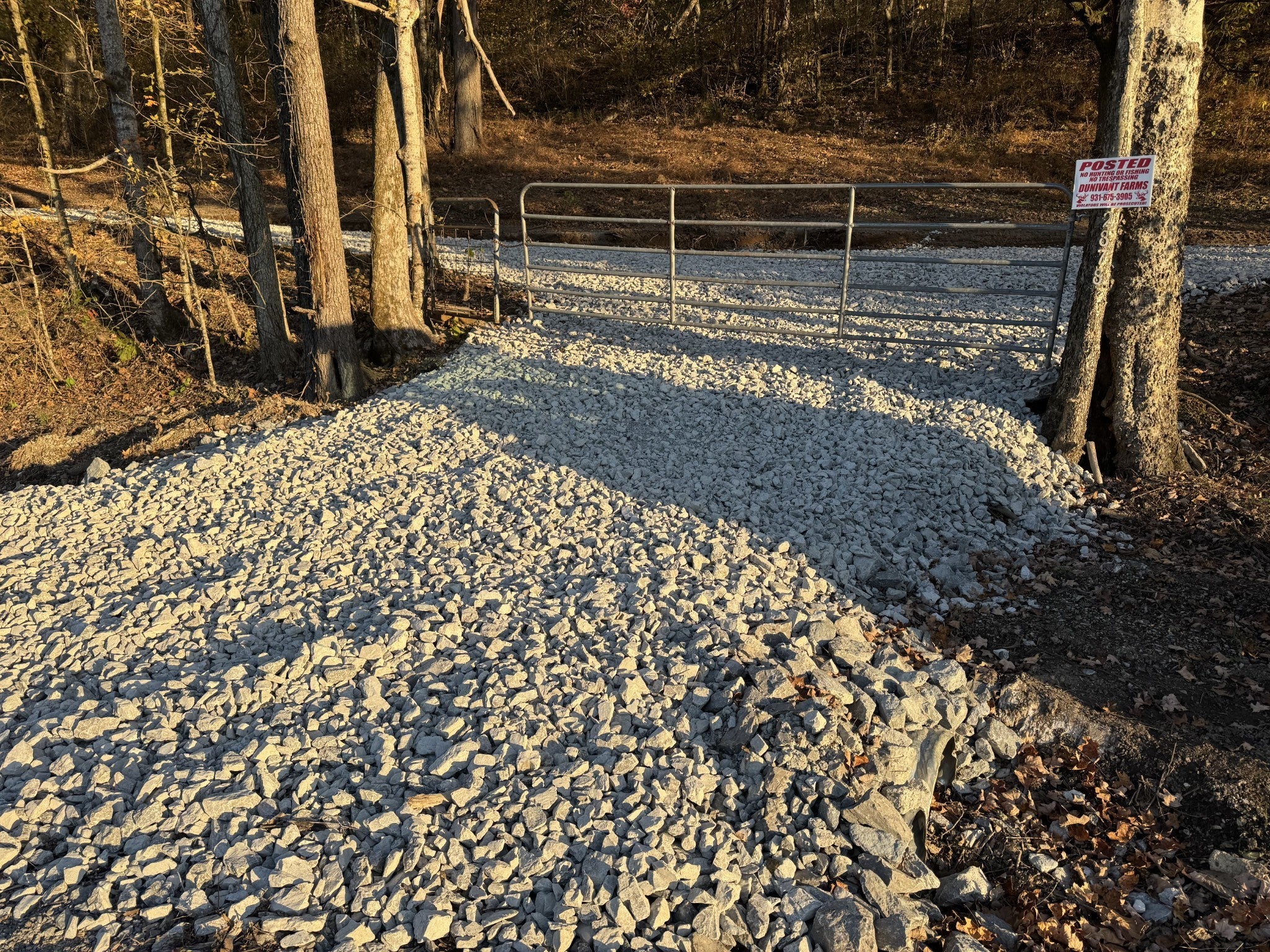 Photo of Listing #3058810