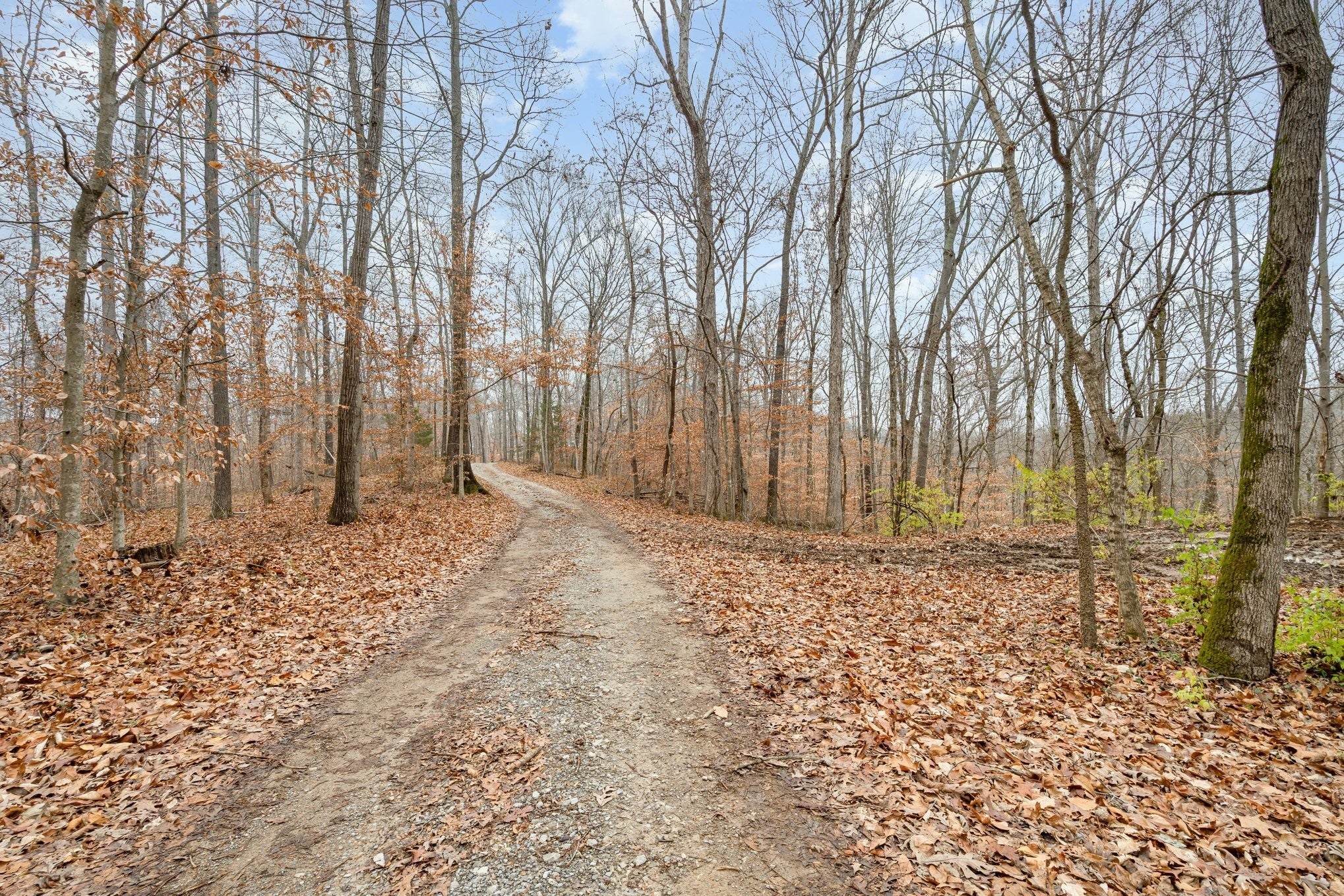 Photo of Listing #3059045