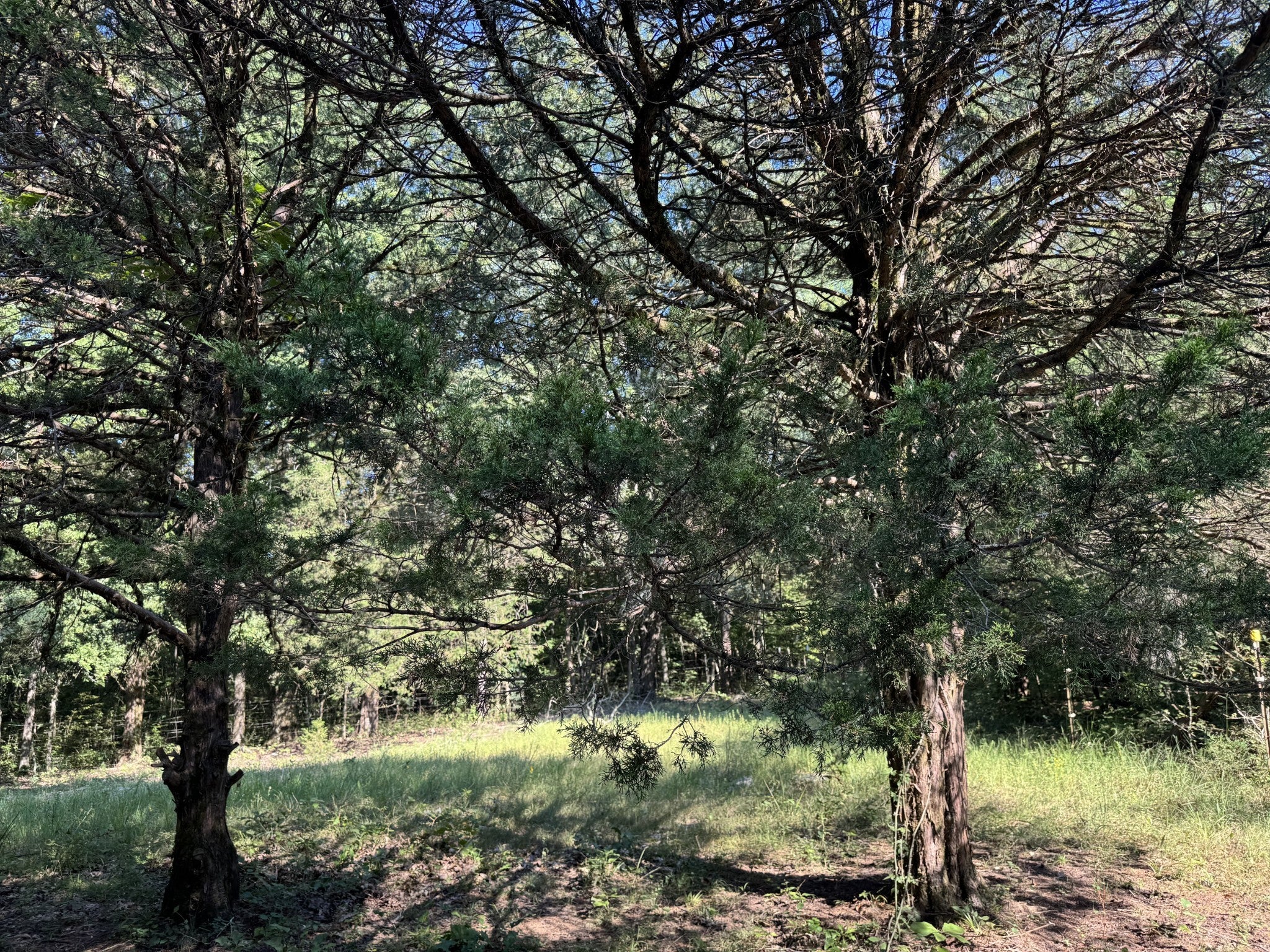 Photo of Listing #3059187