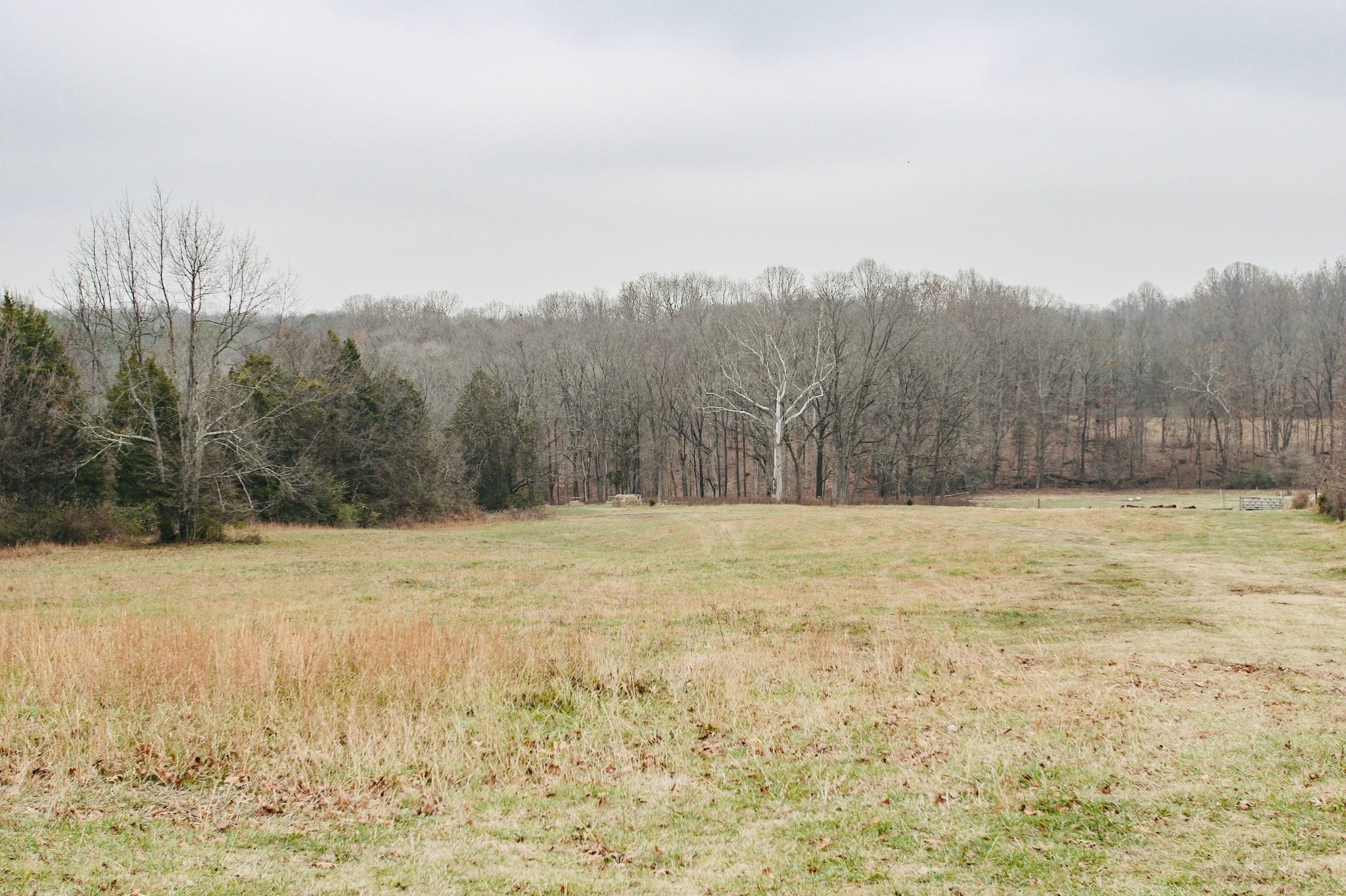 Photo of Listing #3059323