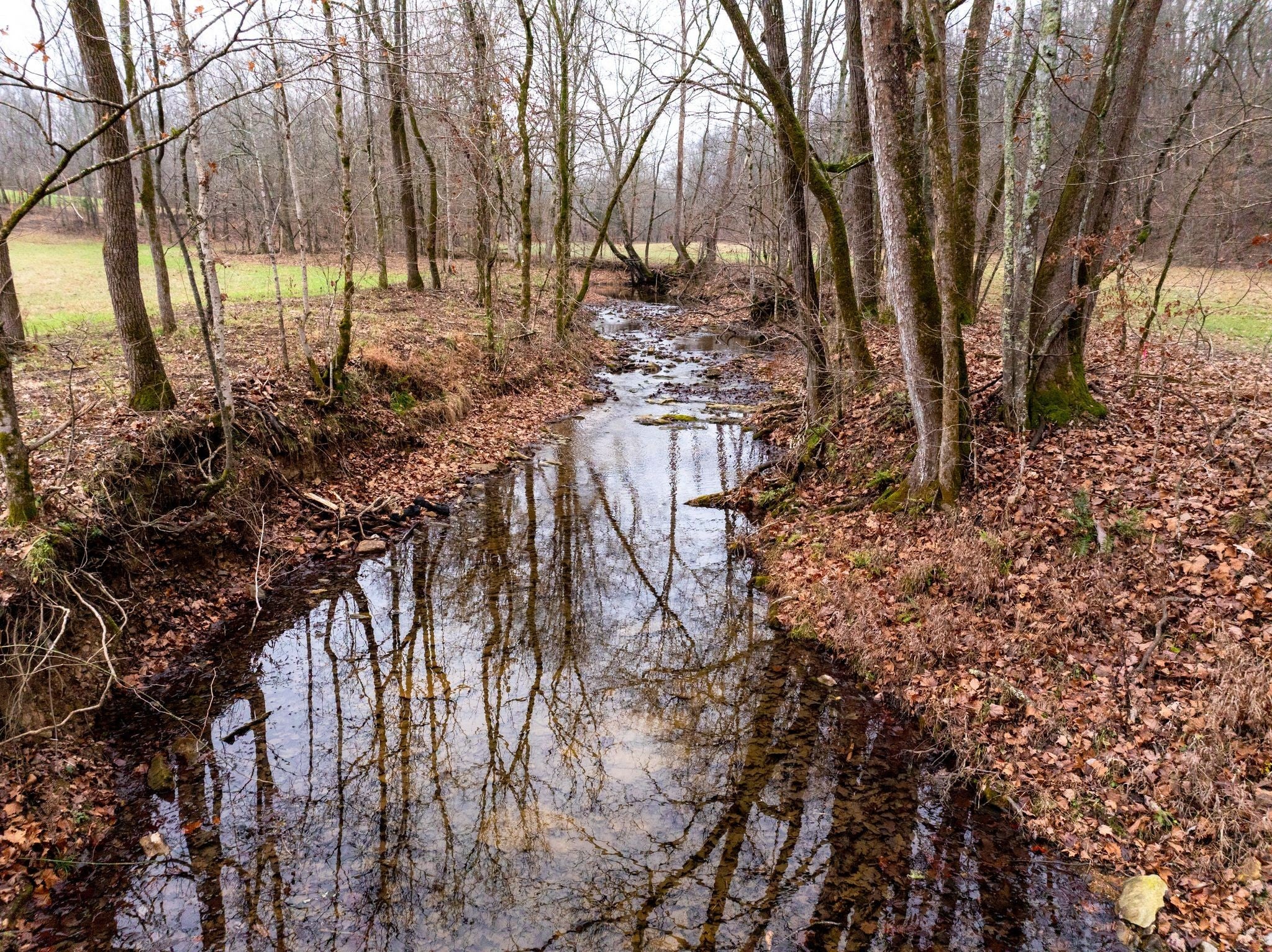 Photo of Listing #3059441