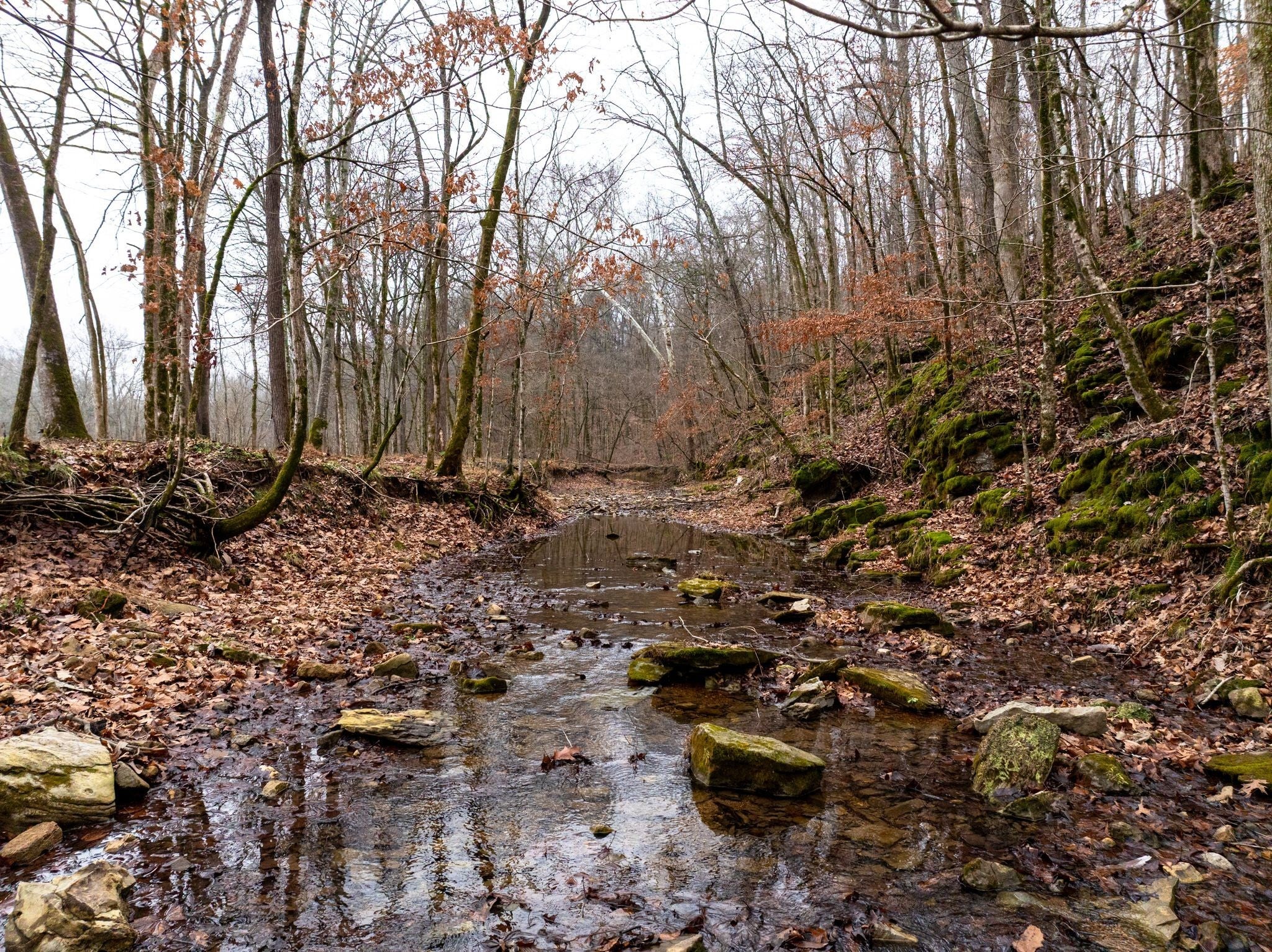 Photo of Listing #3059478