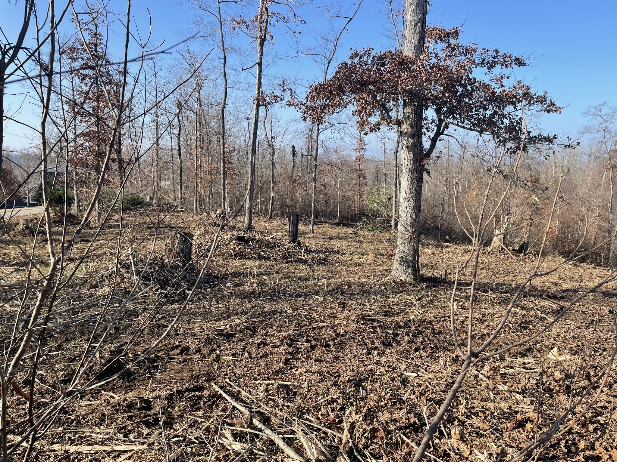 Photo of Listing #3059479