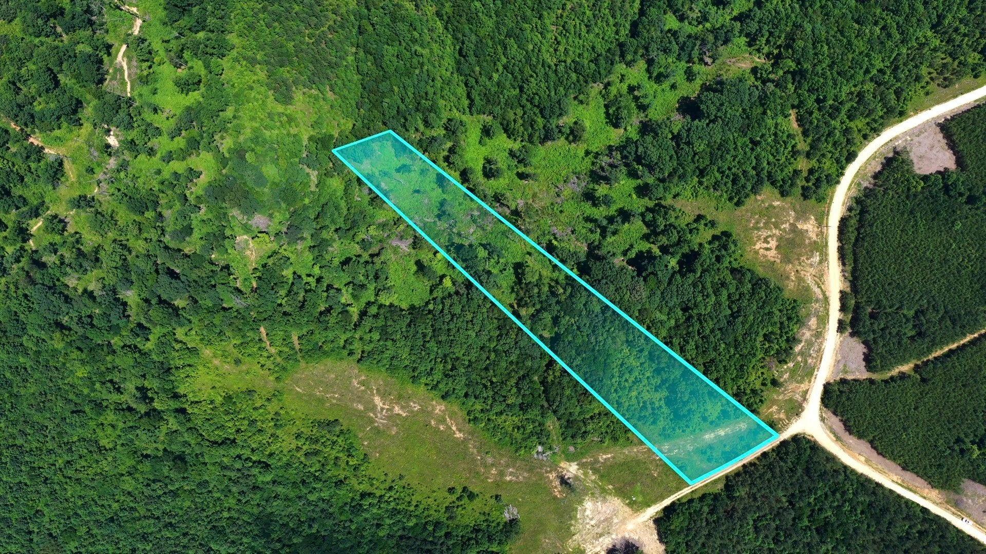 Photo of Listing #3059509