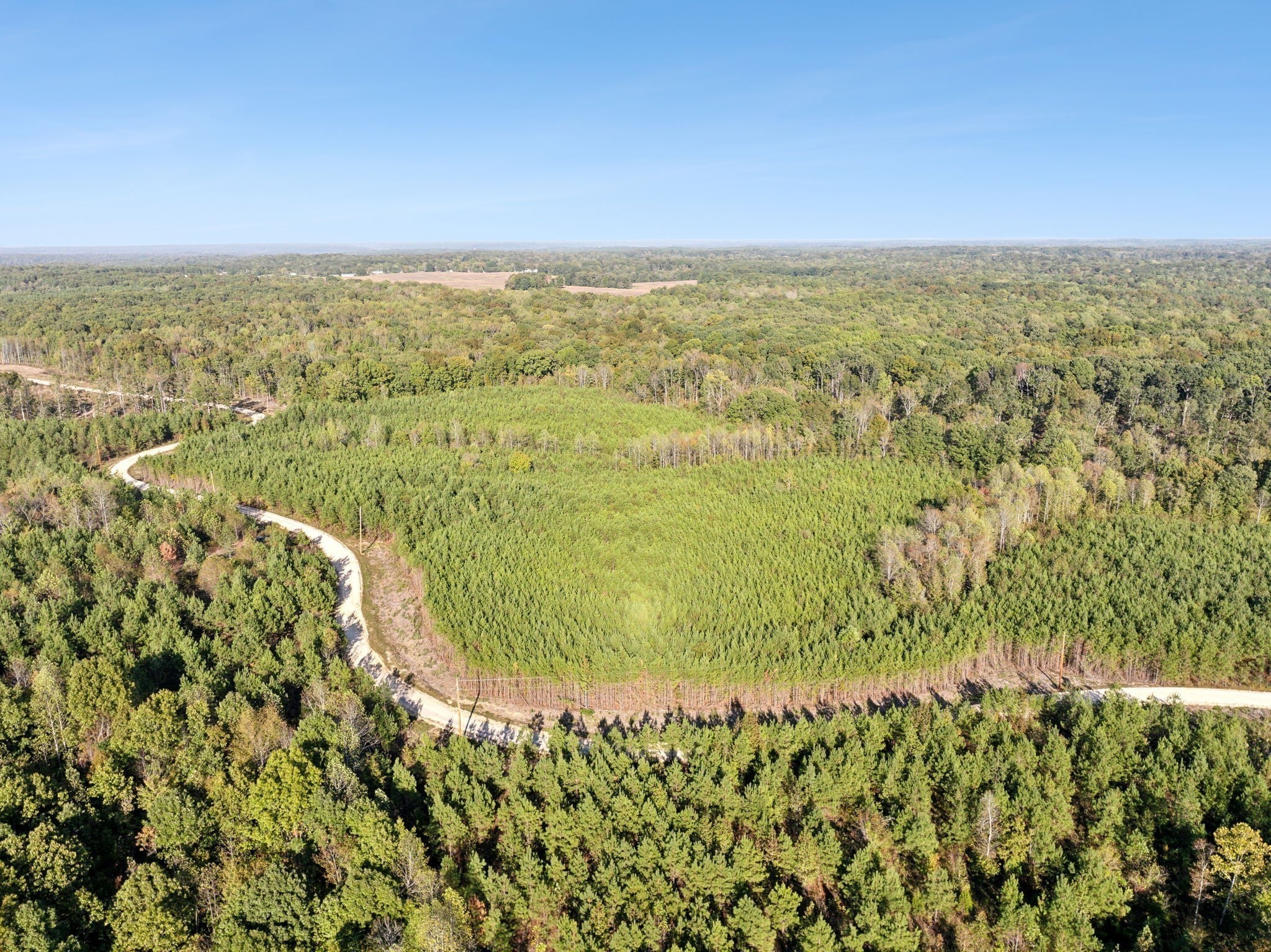 Photo of Listing #3059512