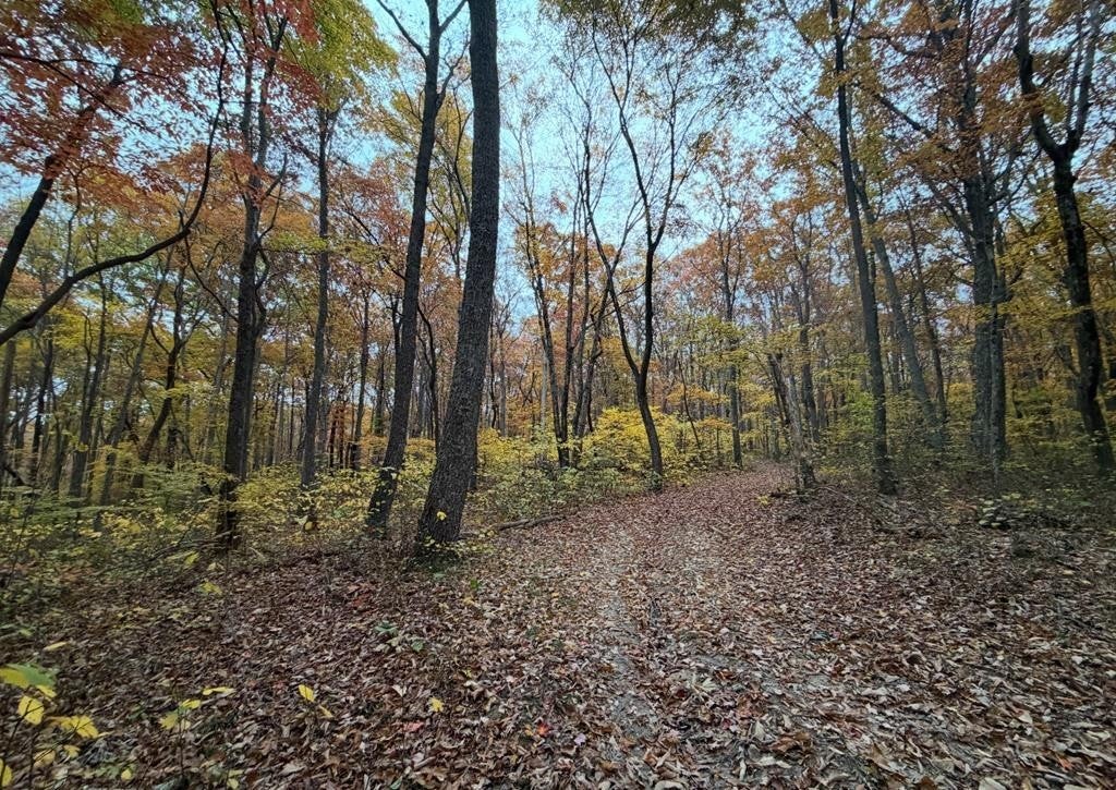 Photo of Listing #3059539