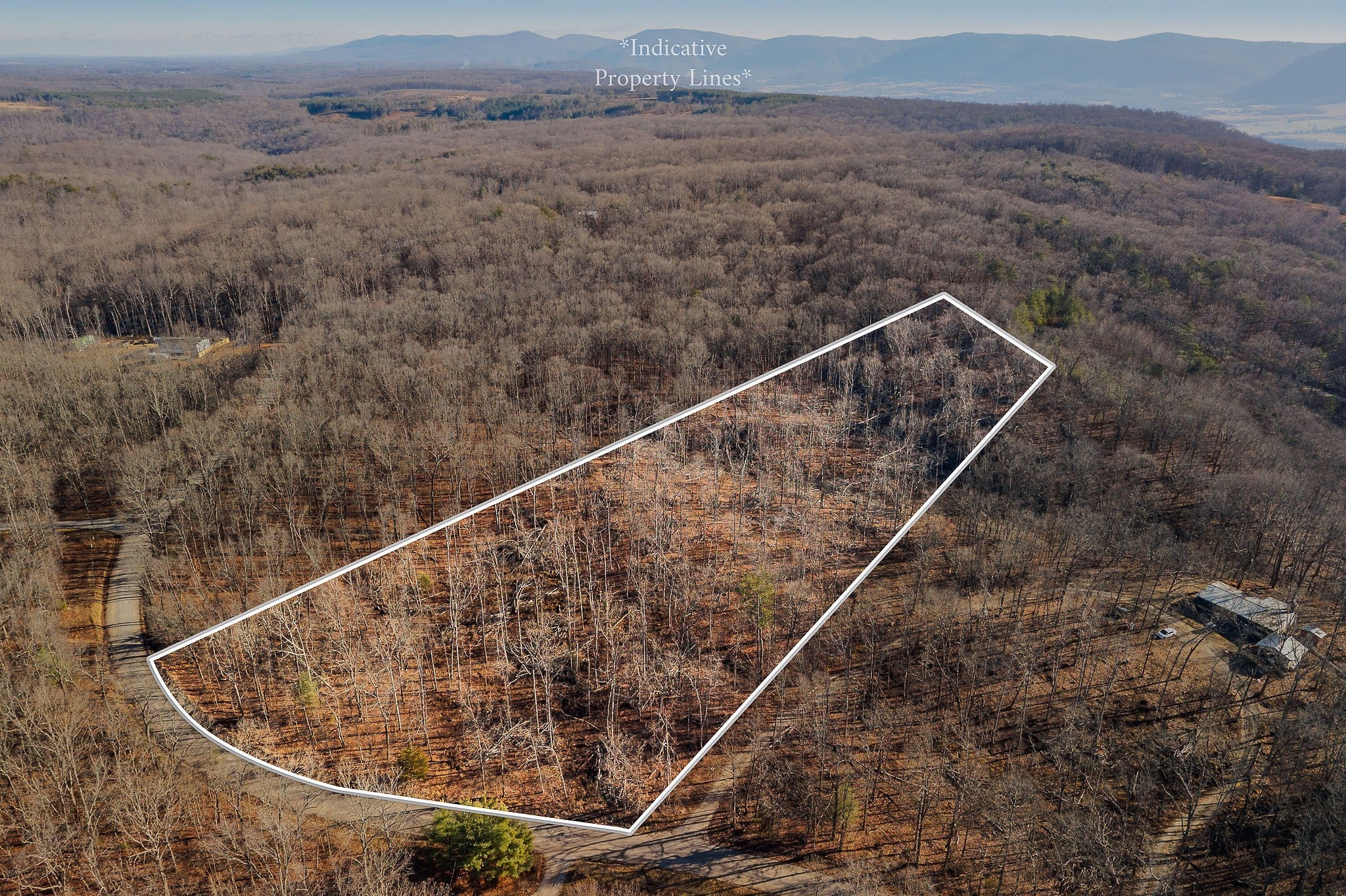 Photo of Listing #3059539