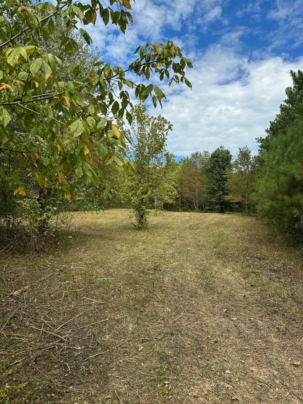 0 Eudailey Covington Rd, College Grove
