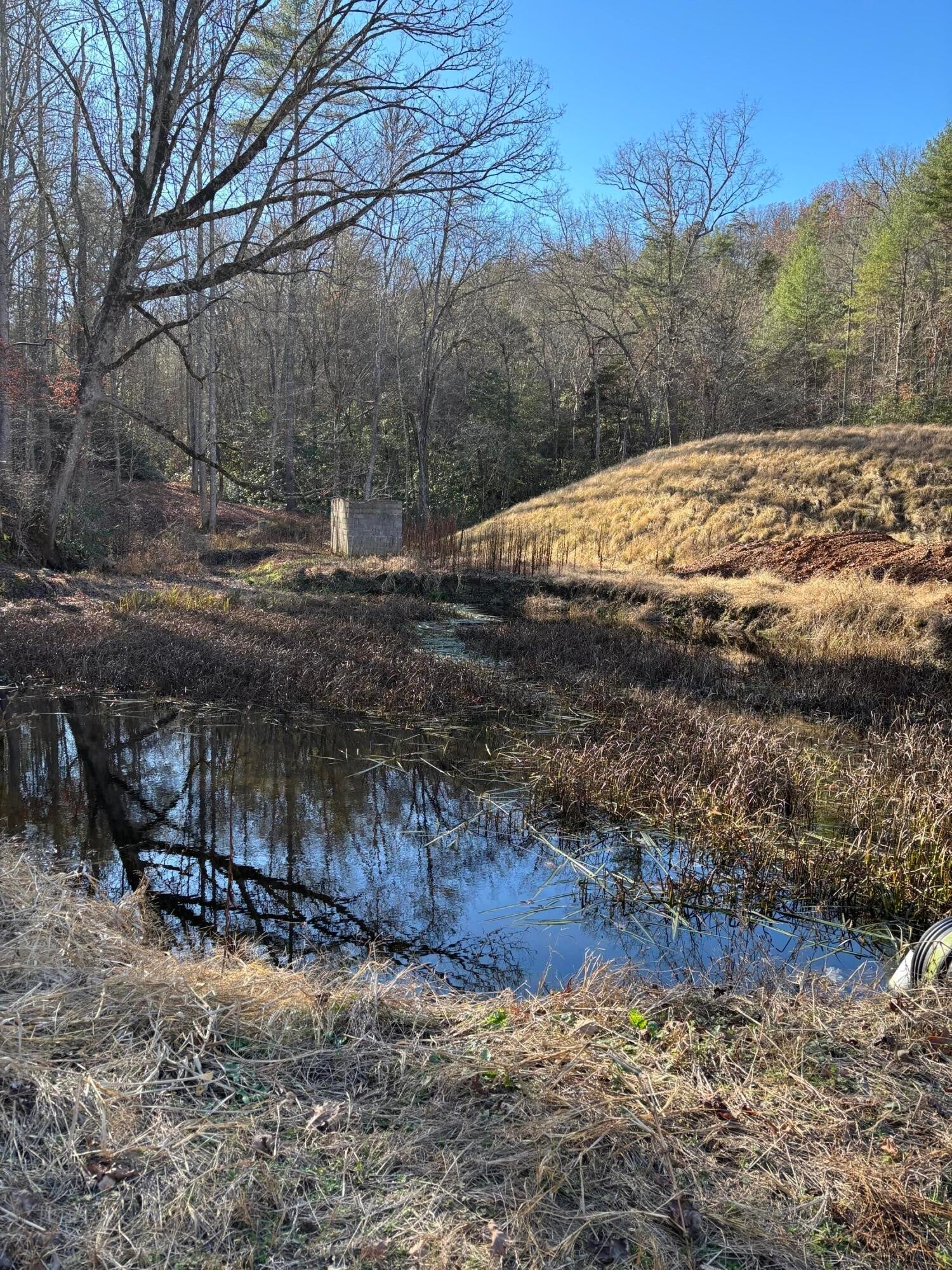 Photo of Listing #3059640