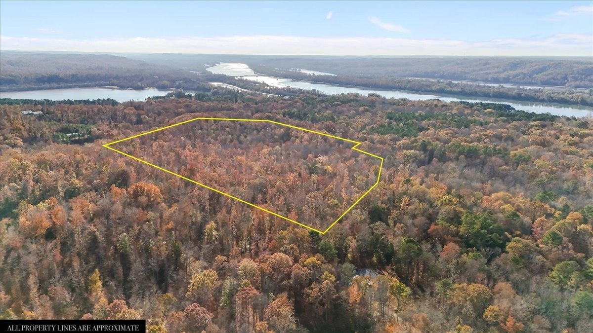 Photo of Listing #3059776