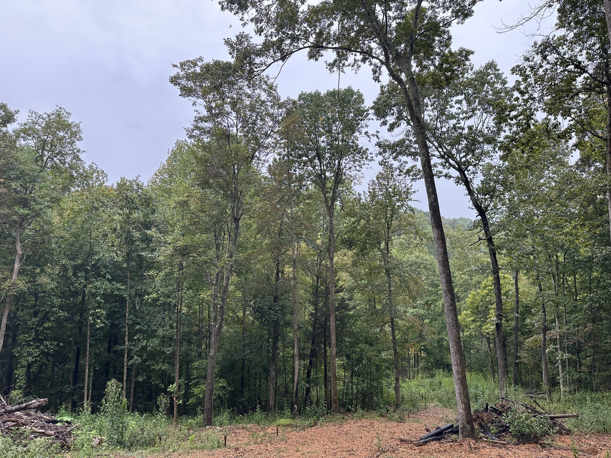 Photo of Listing #3059815