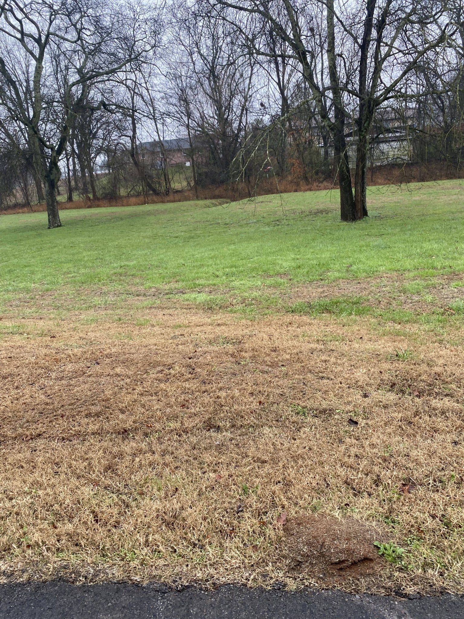 Photo of Listing #3059918