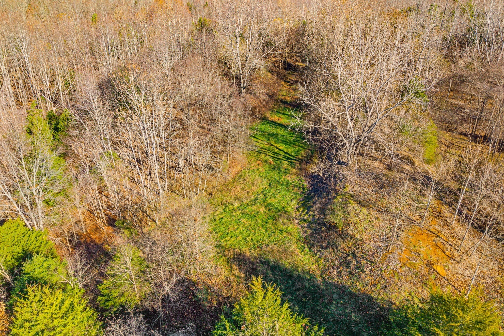 Photo of Listing #3060532