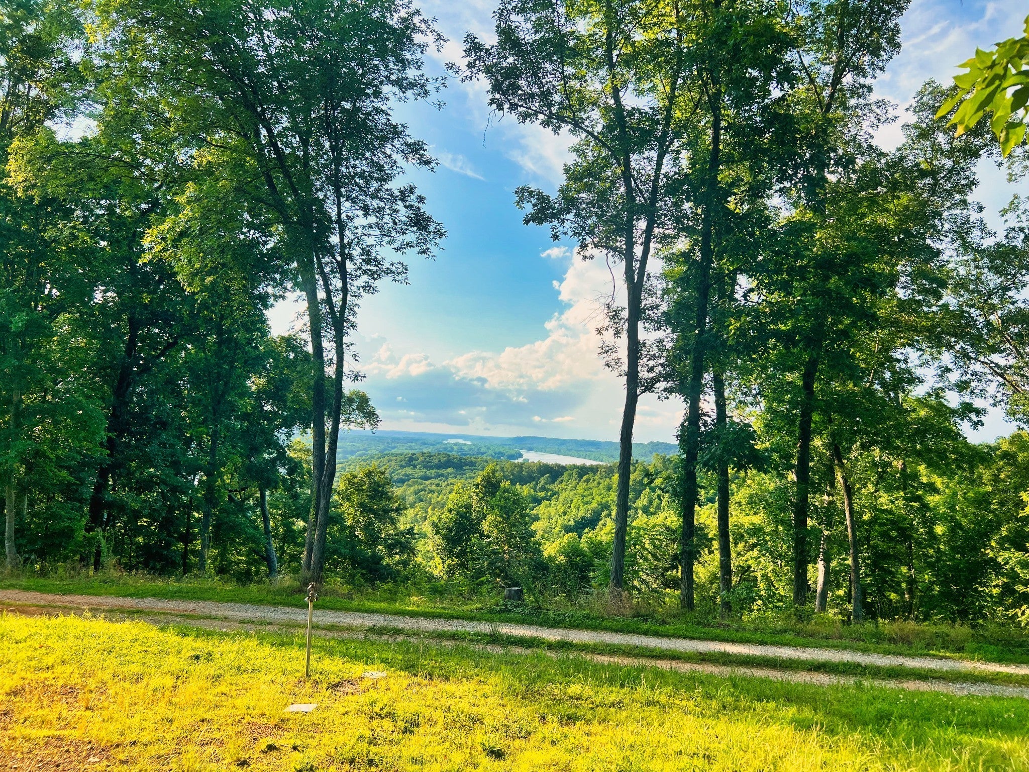 Photo of Listing #3060568