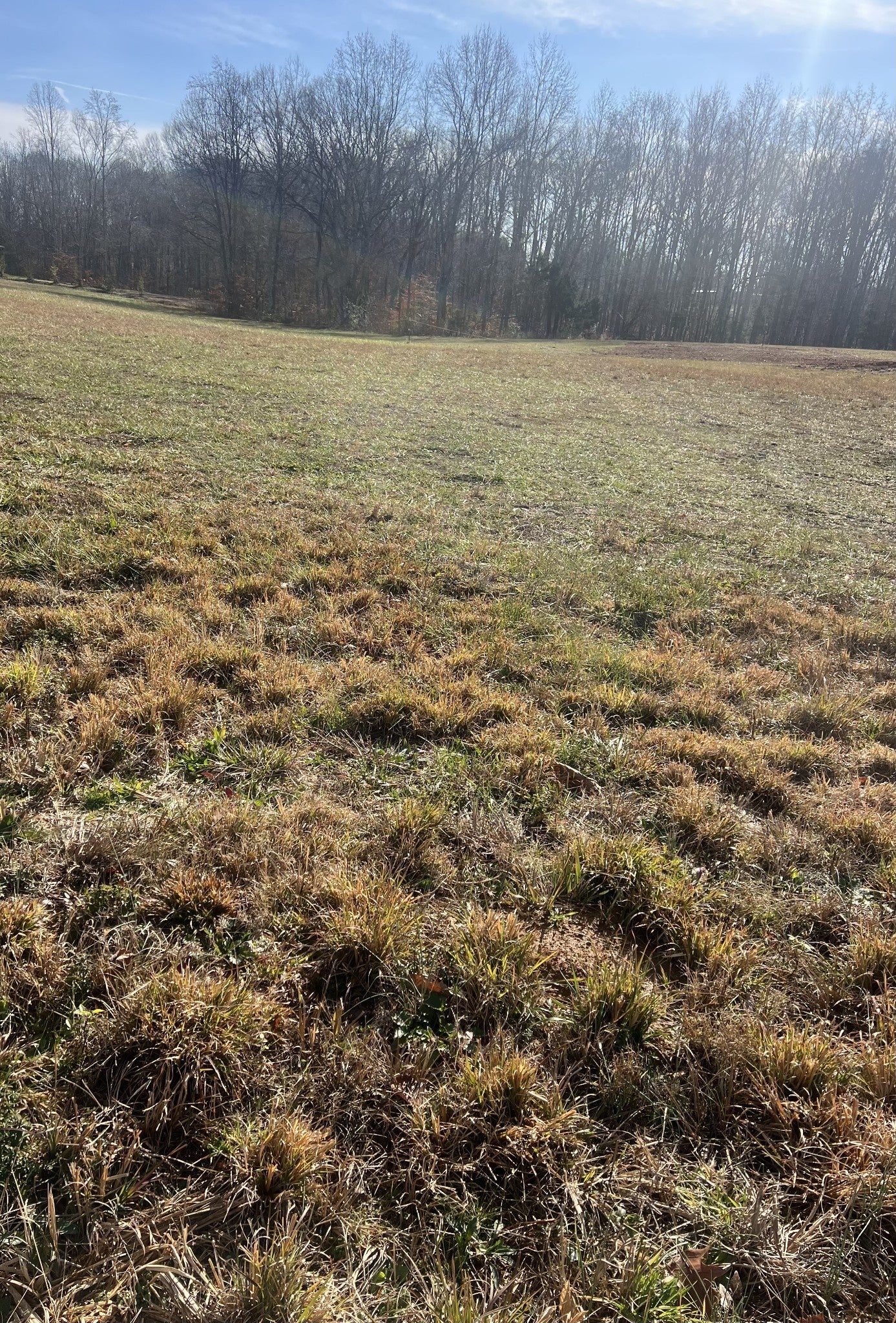 Photo of Listing #3060577