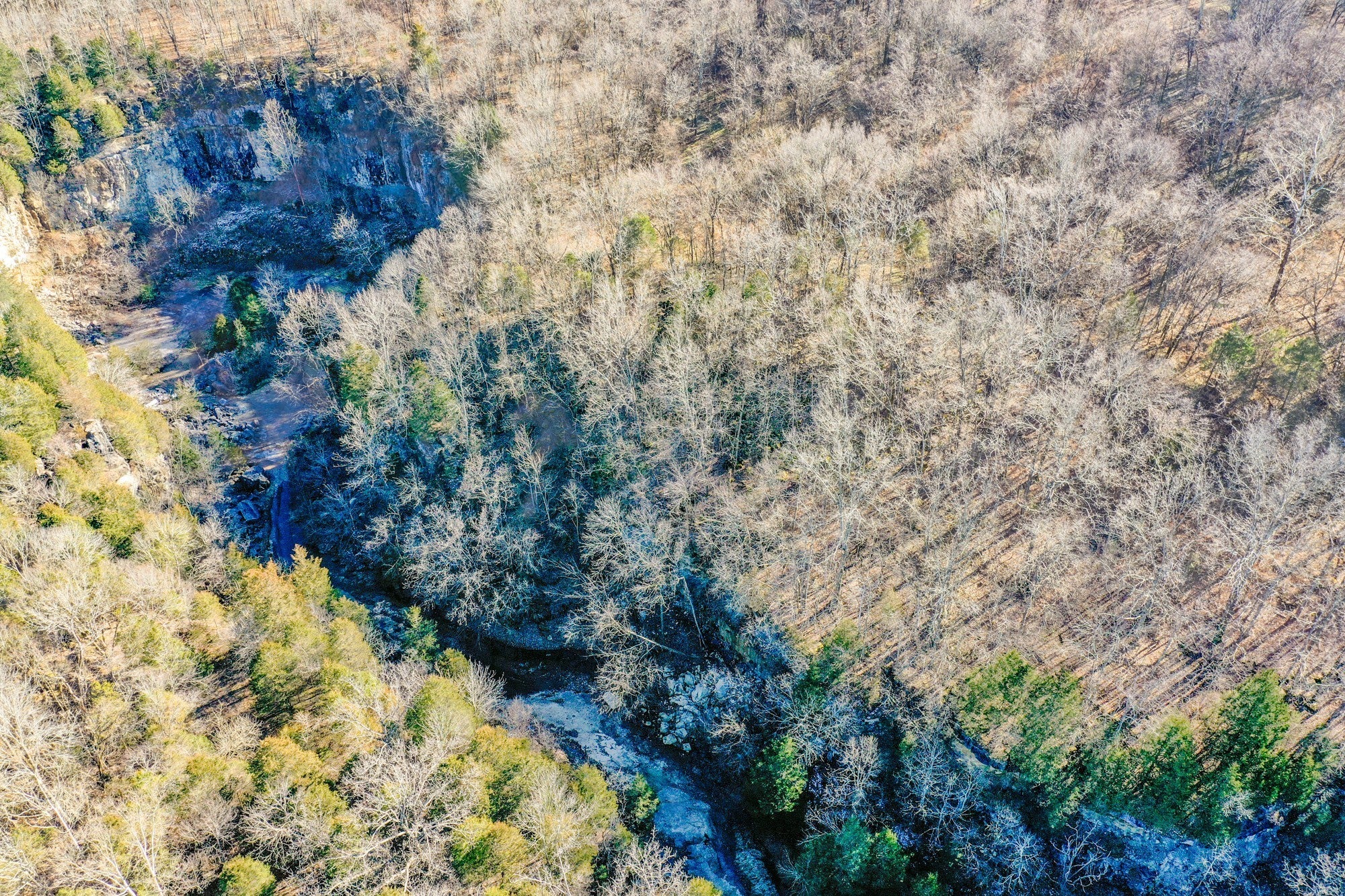 Photo of Listing #3060739