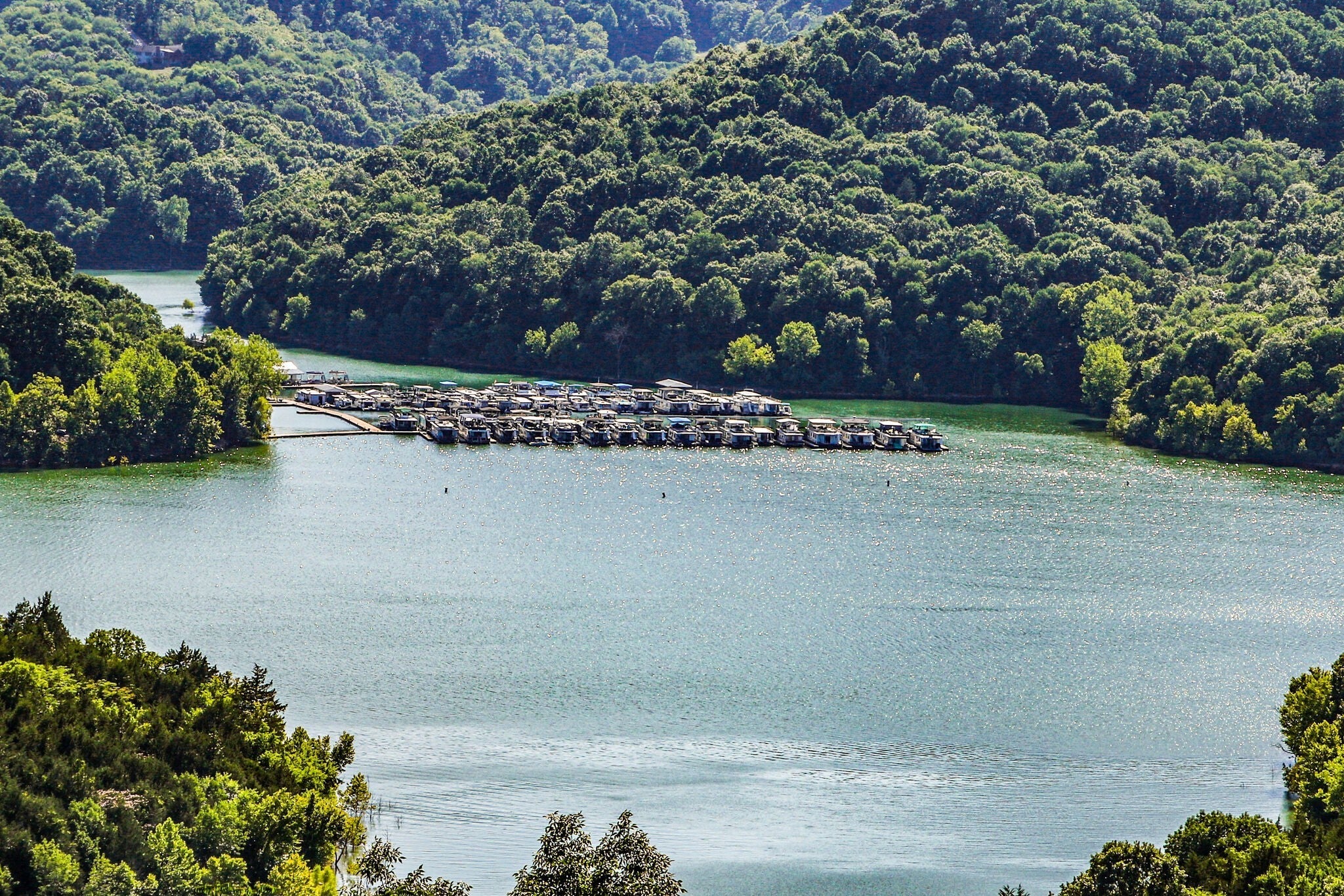 Photo of Listing #3060895