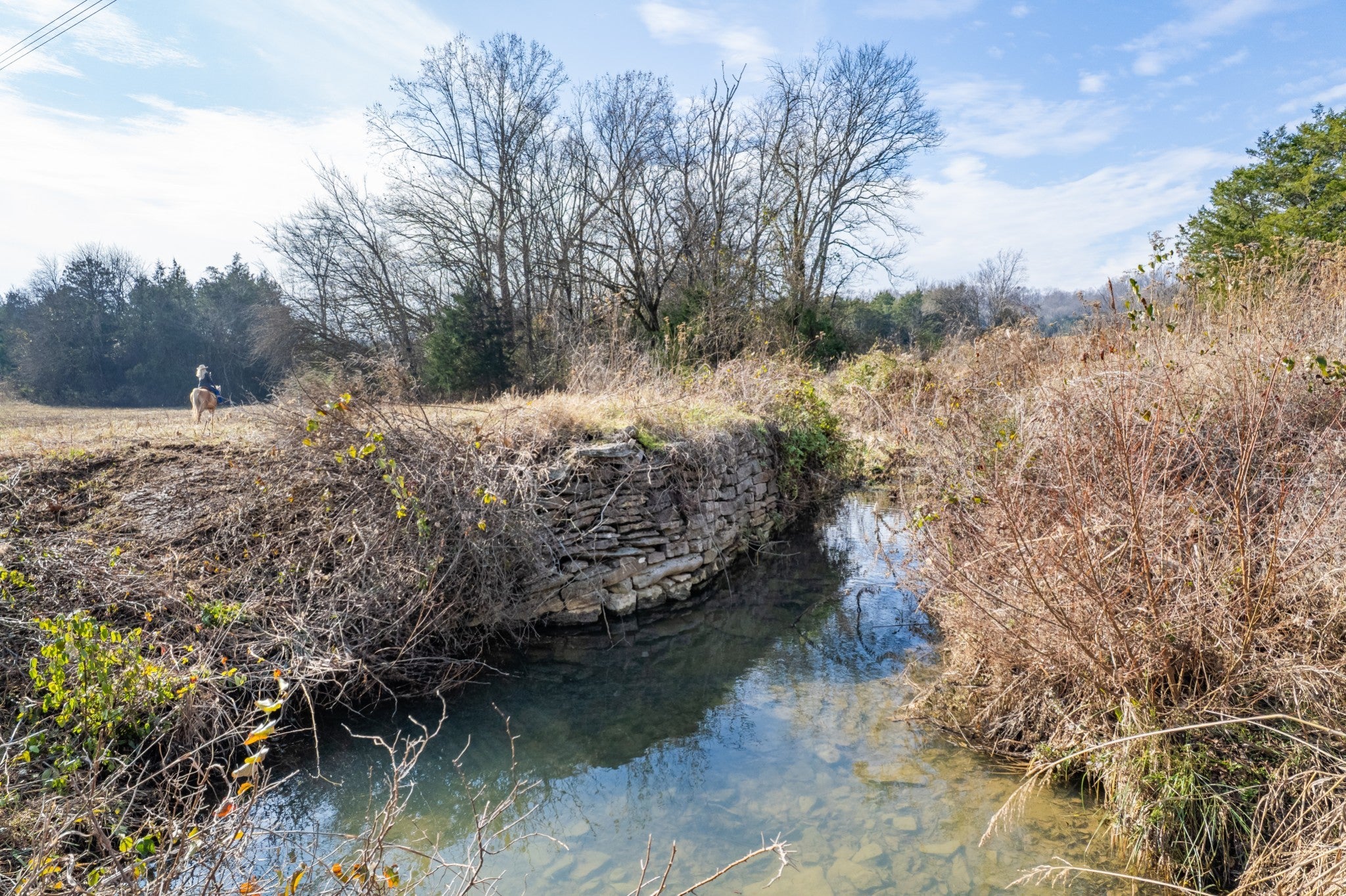 Photo of Listing #3061061