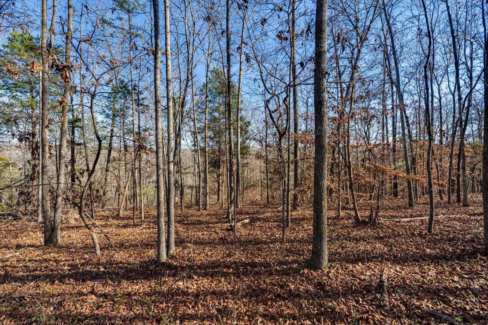 Photo of Listing #3061117