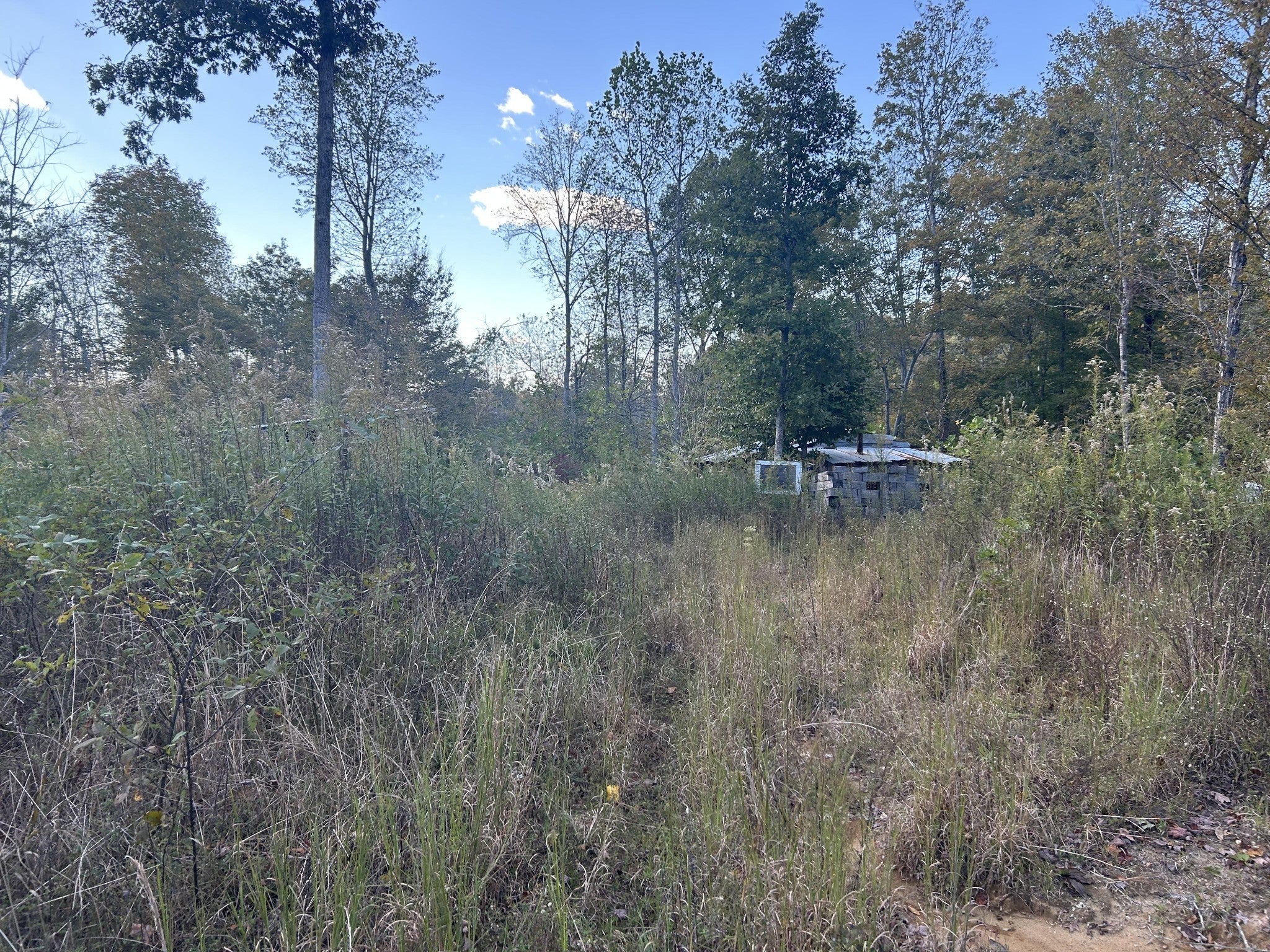 Photo of Listing #3061168