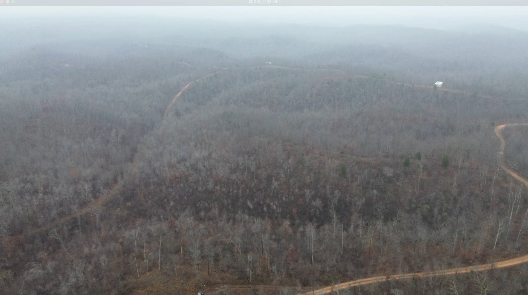 Photo of Listing #3061232