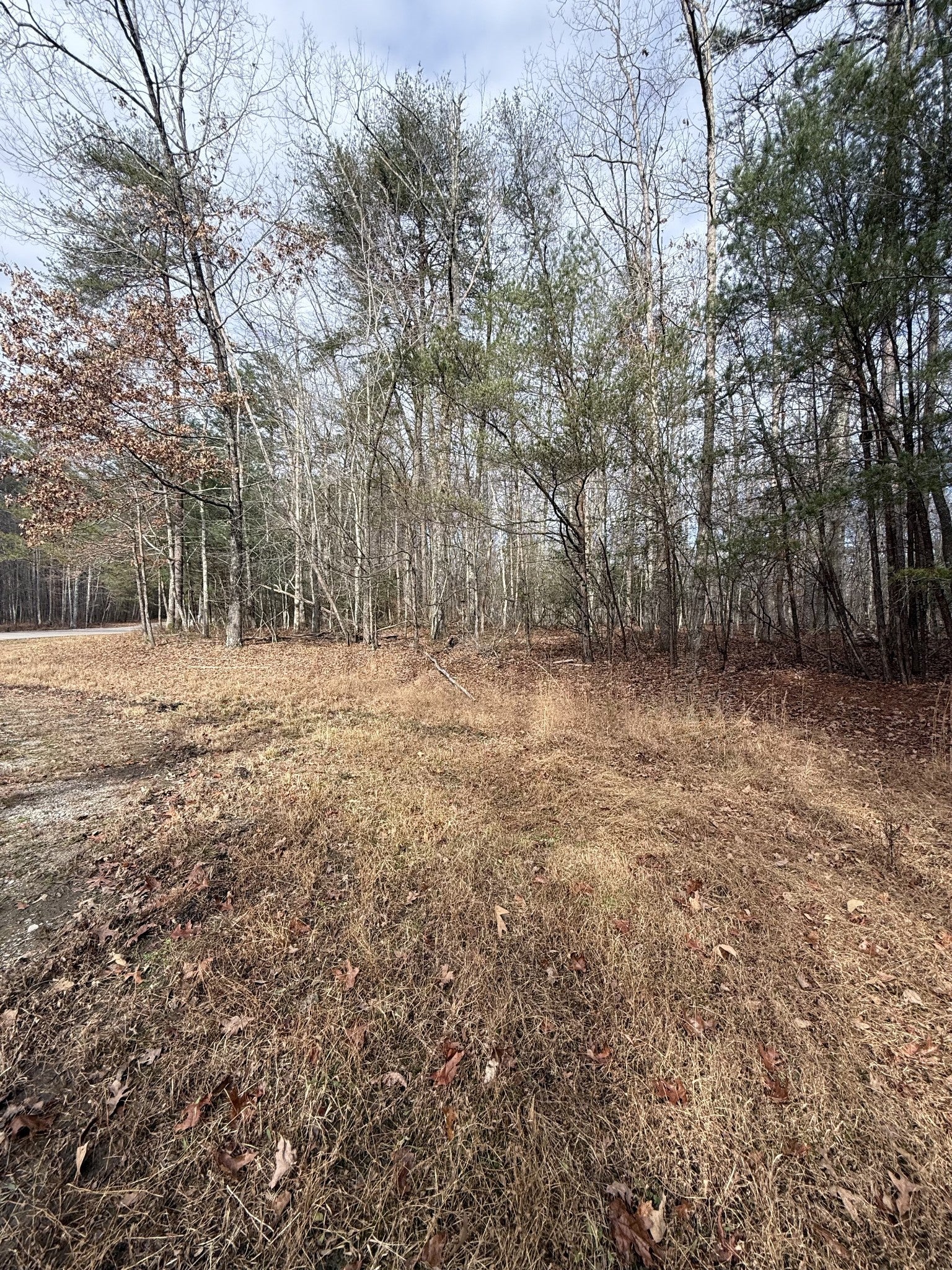 Photo of Listing #3061251