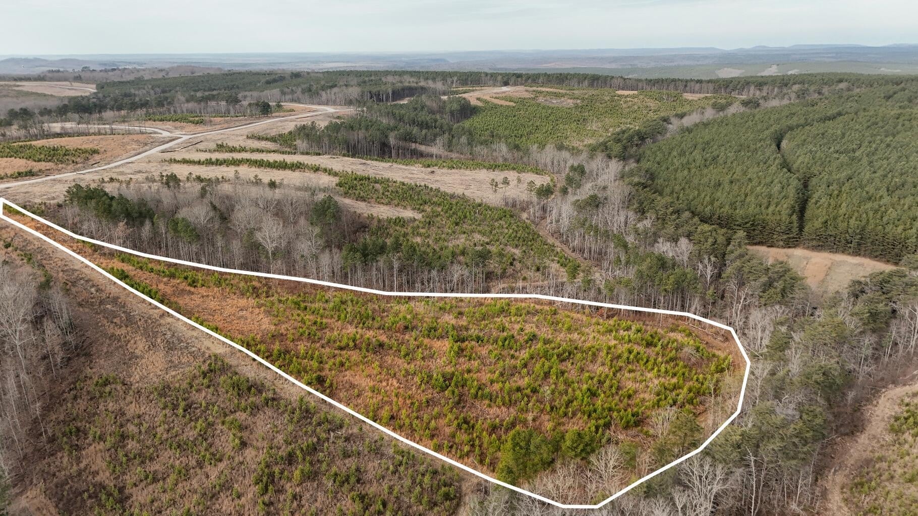 Photo of Listing #3061367