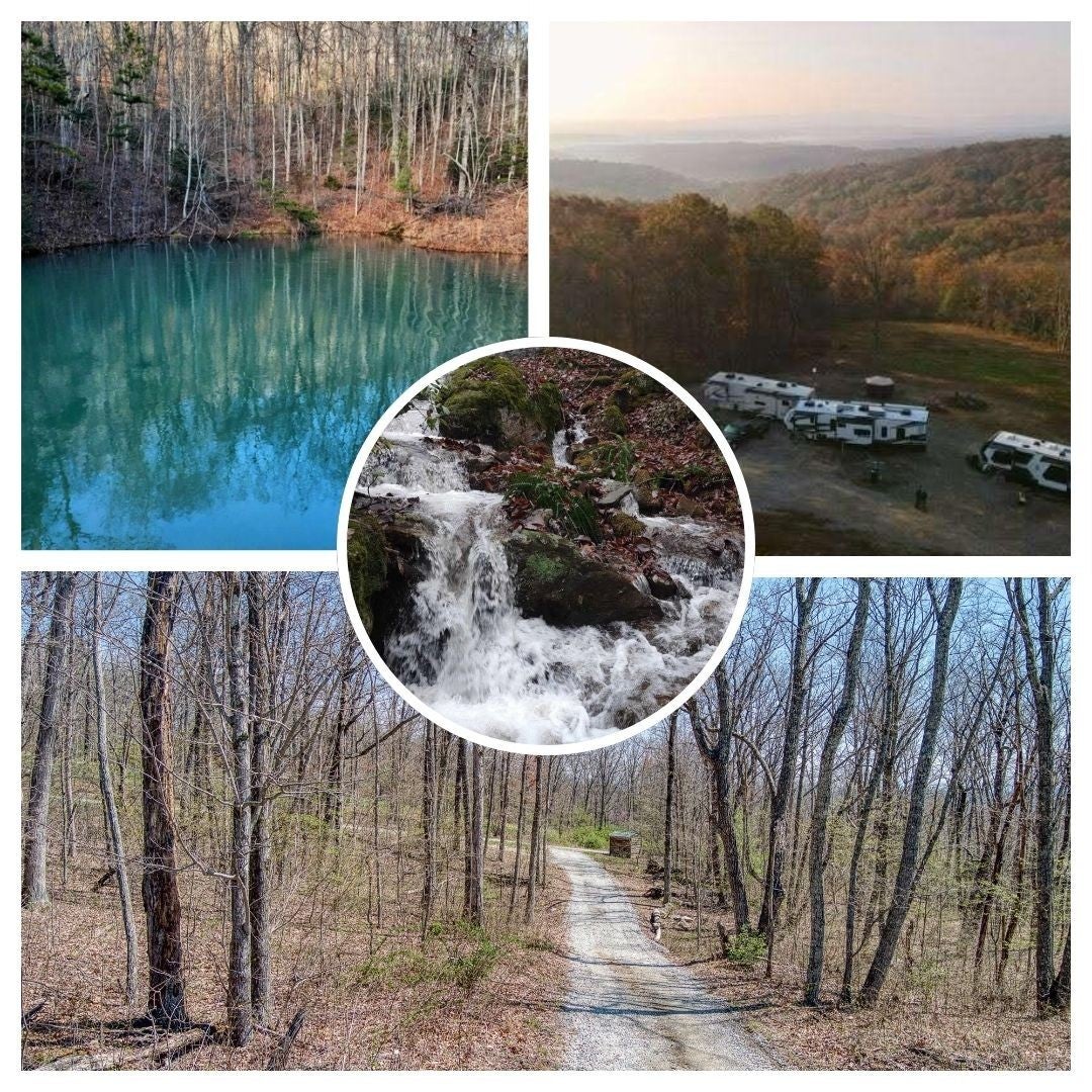 Photo of Listing #3061398