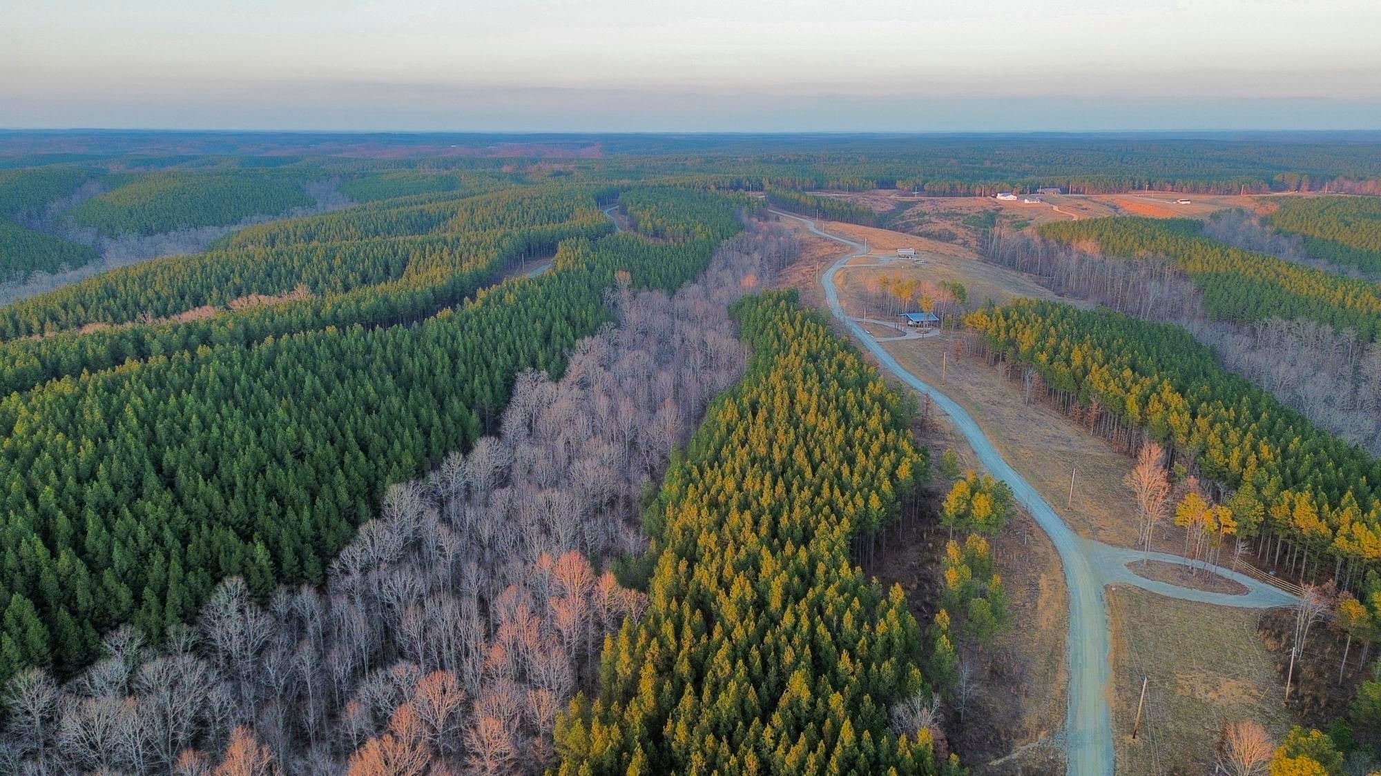 Photo of Listing #3061410