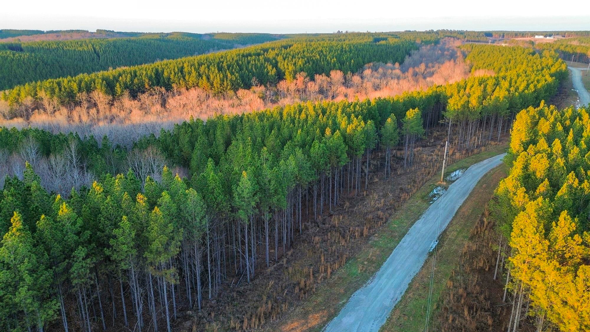 Photo of Listing #3061411