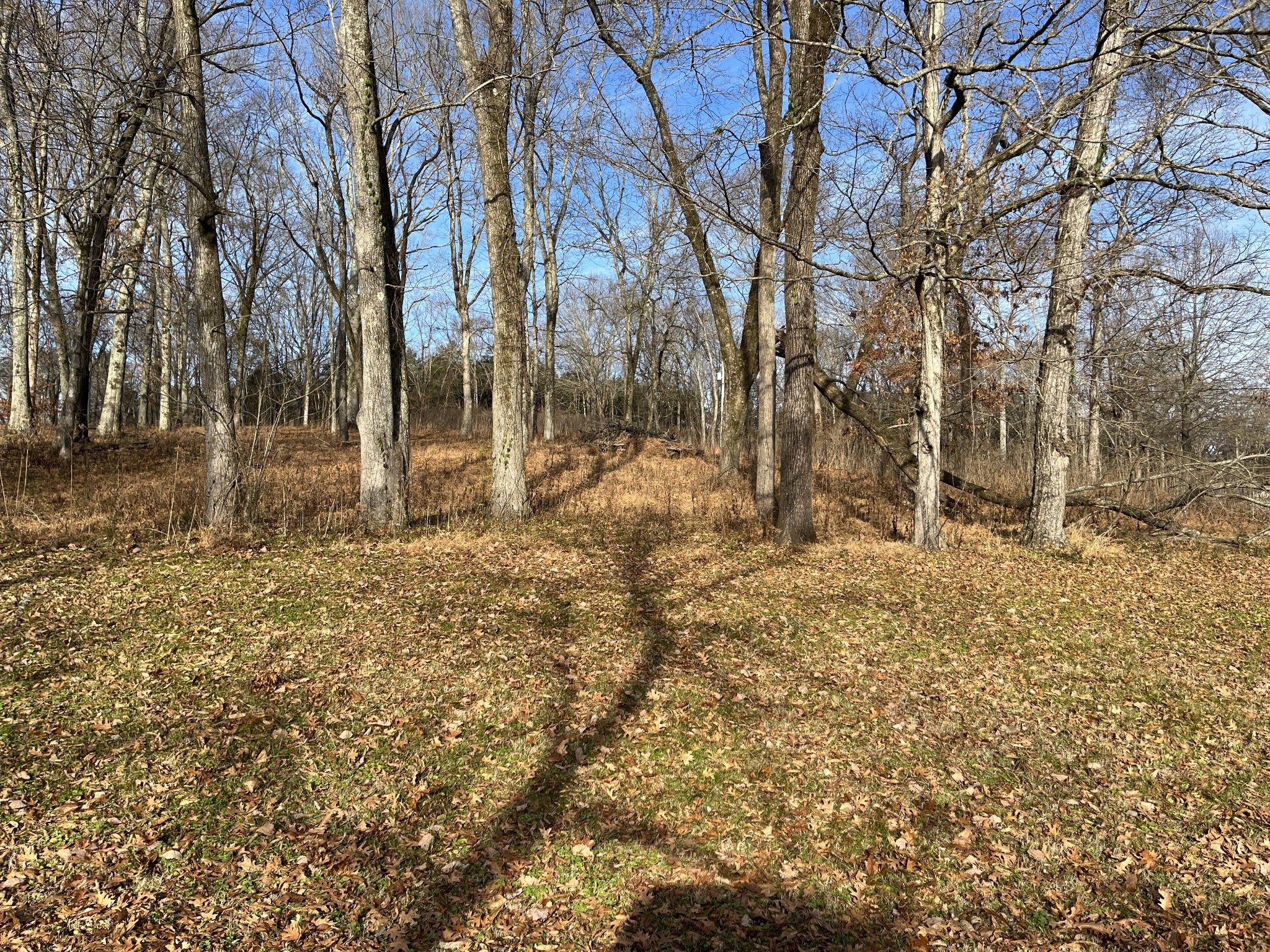 Photo of Listing #3061549