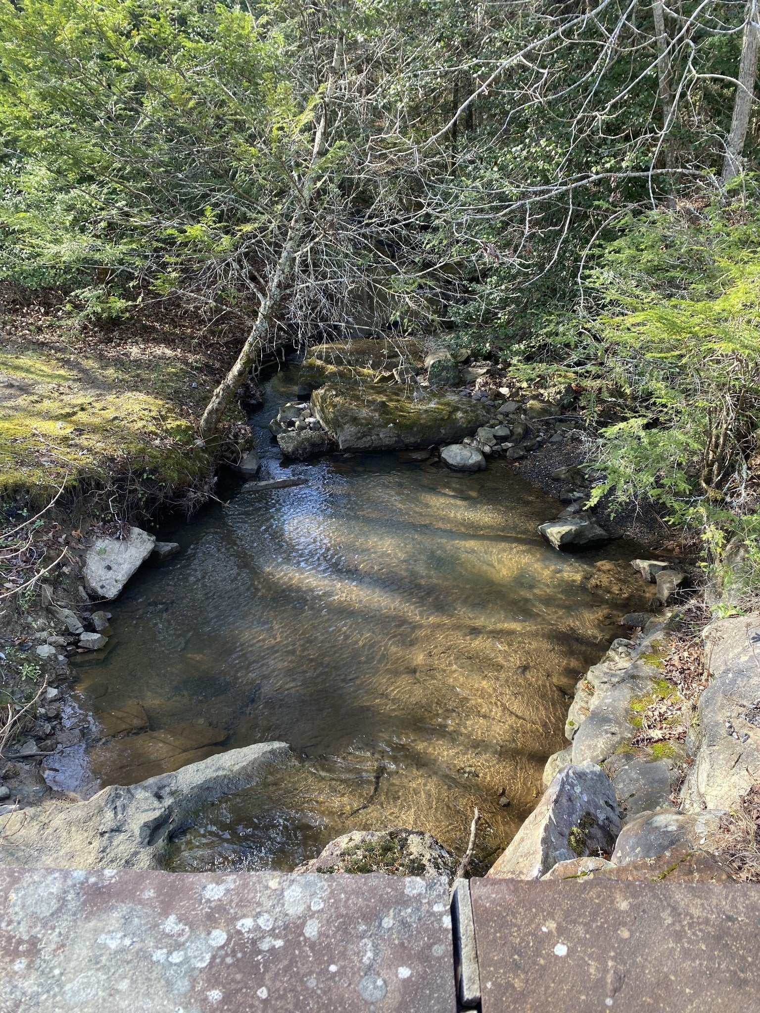 Photo of Listing #3061555