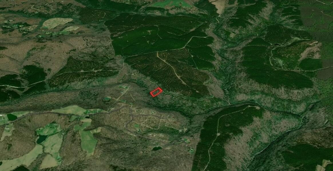 Photo of Listing #3061566