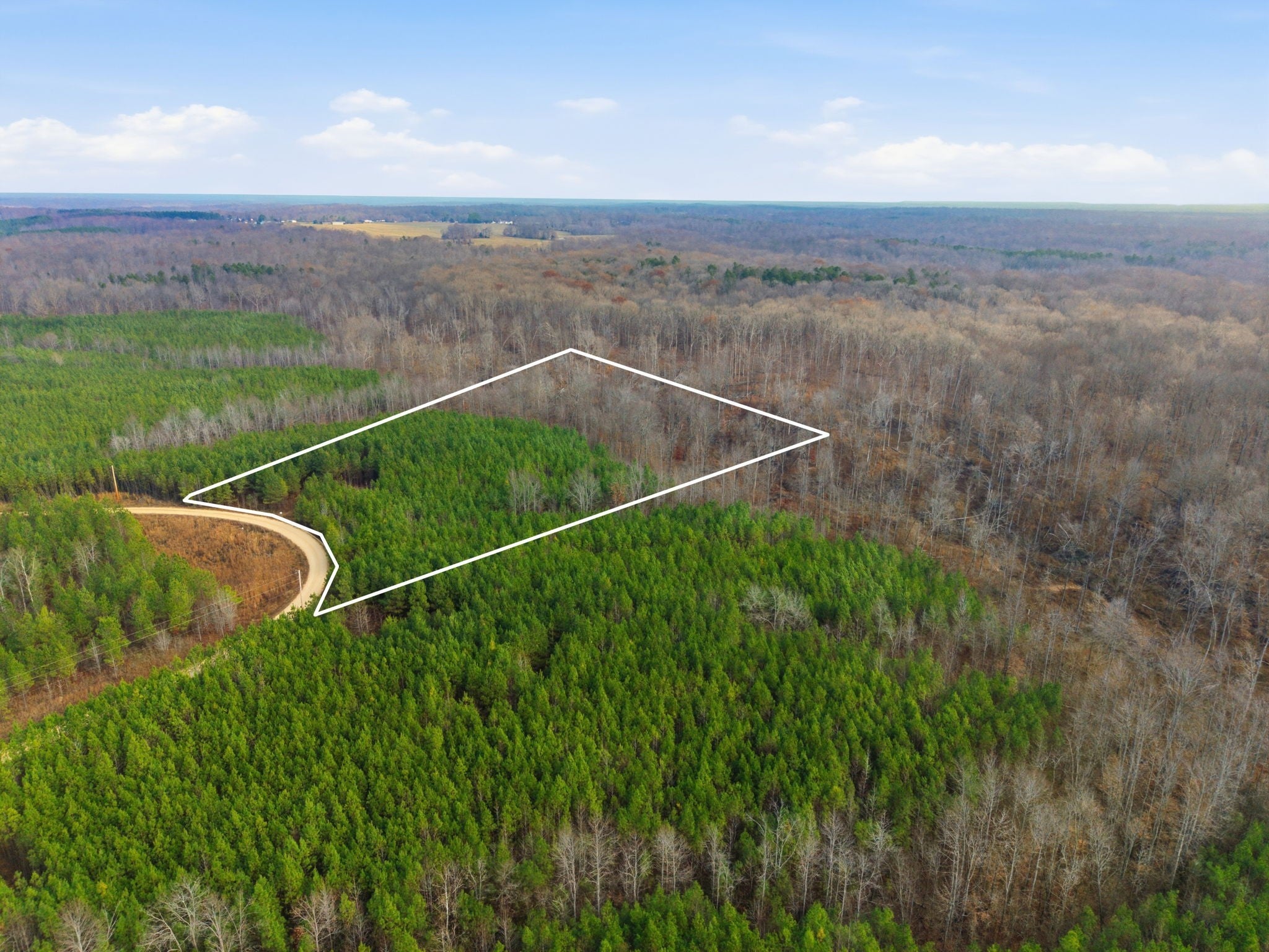 Photo of Listing #3061585