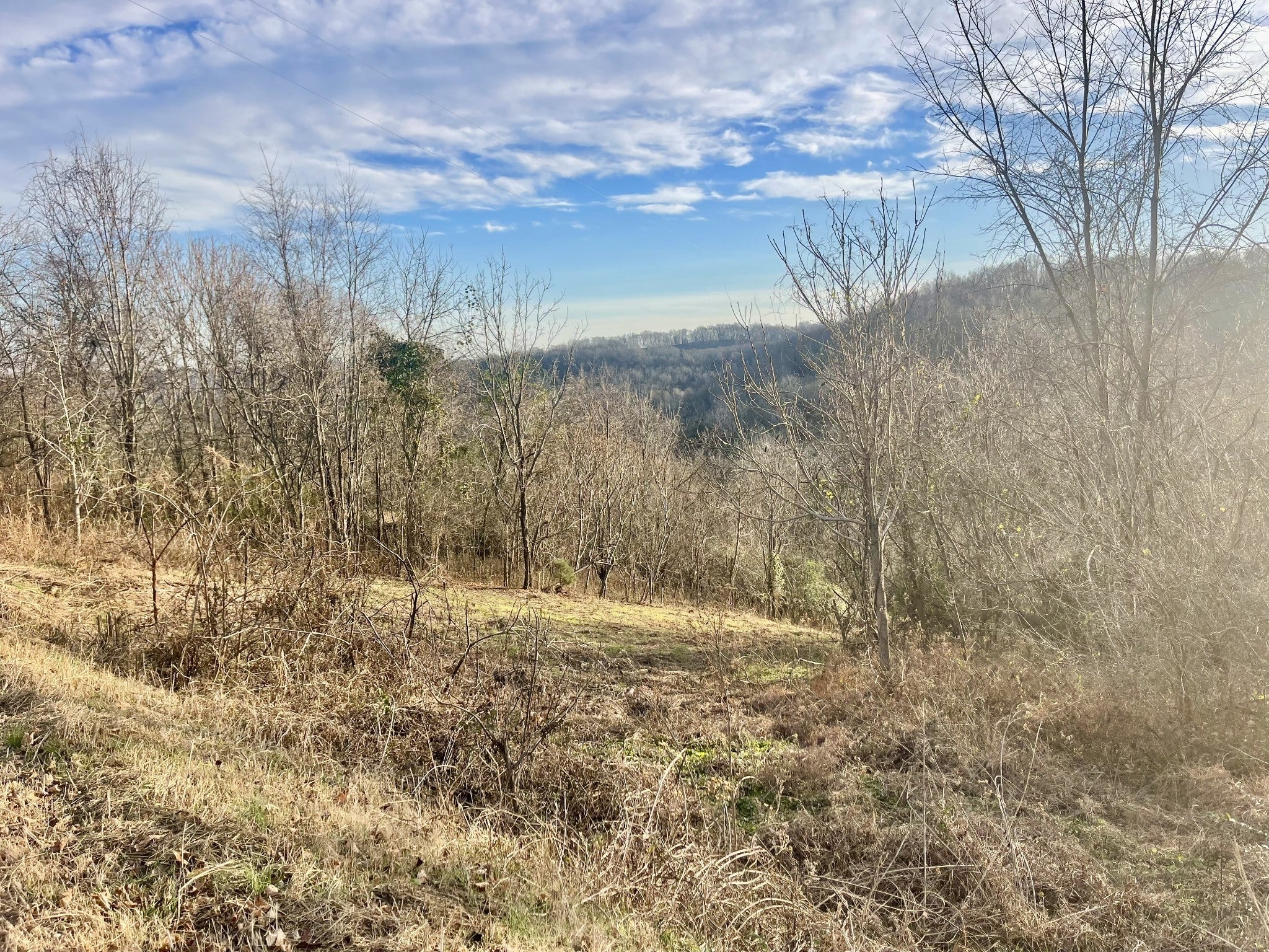 Photo of Listing #3061623