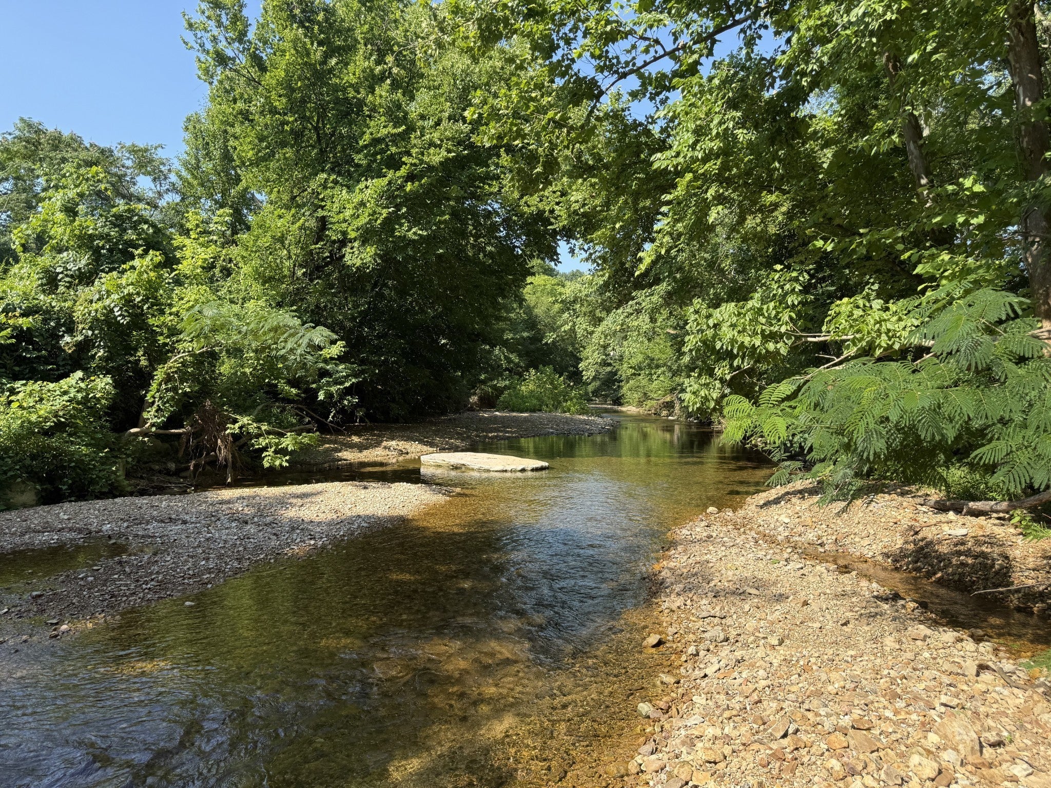 Photo of Listing #3061834