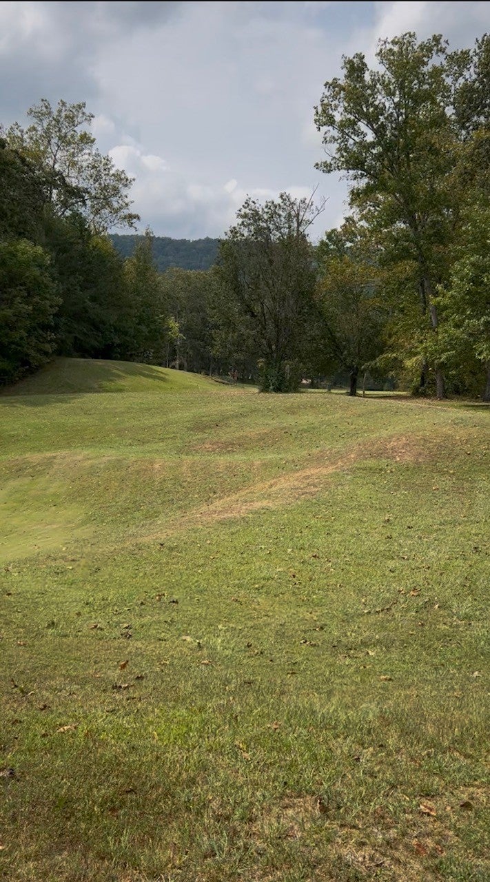 Photo of Listing #3062011