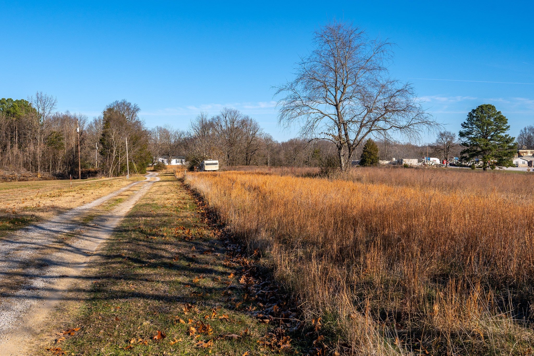 Photo of Listing #3062185