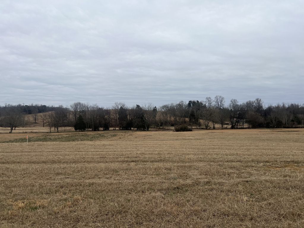 20 Clay County Hwy, Moss