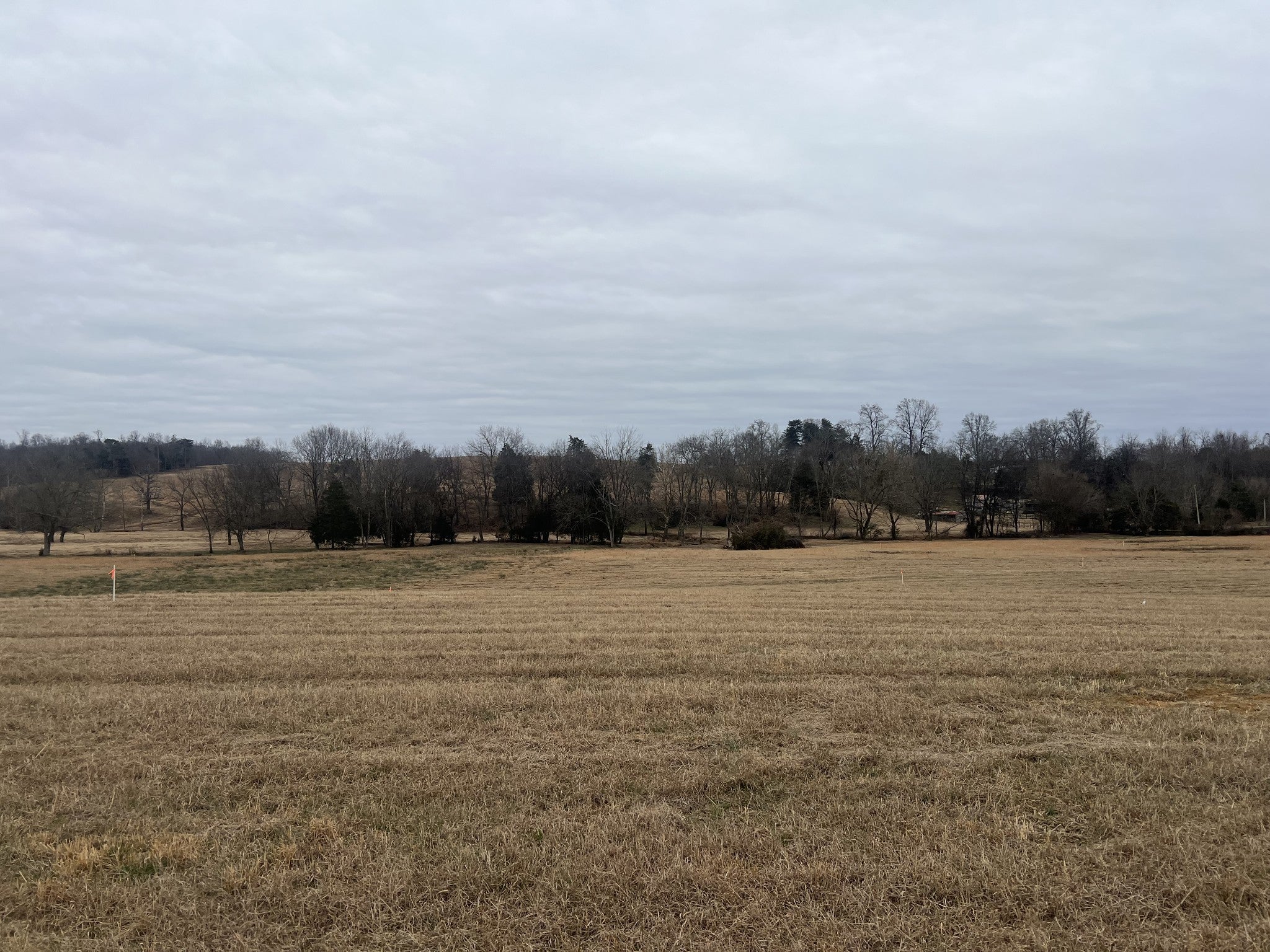 Photo of Listing #3065096