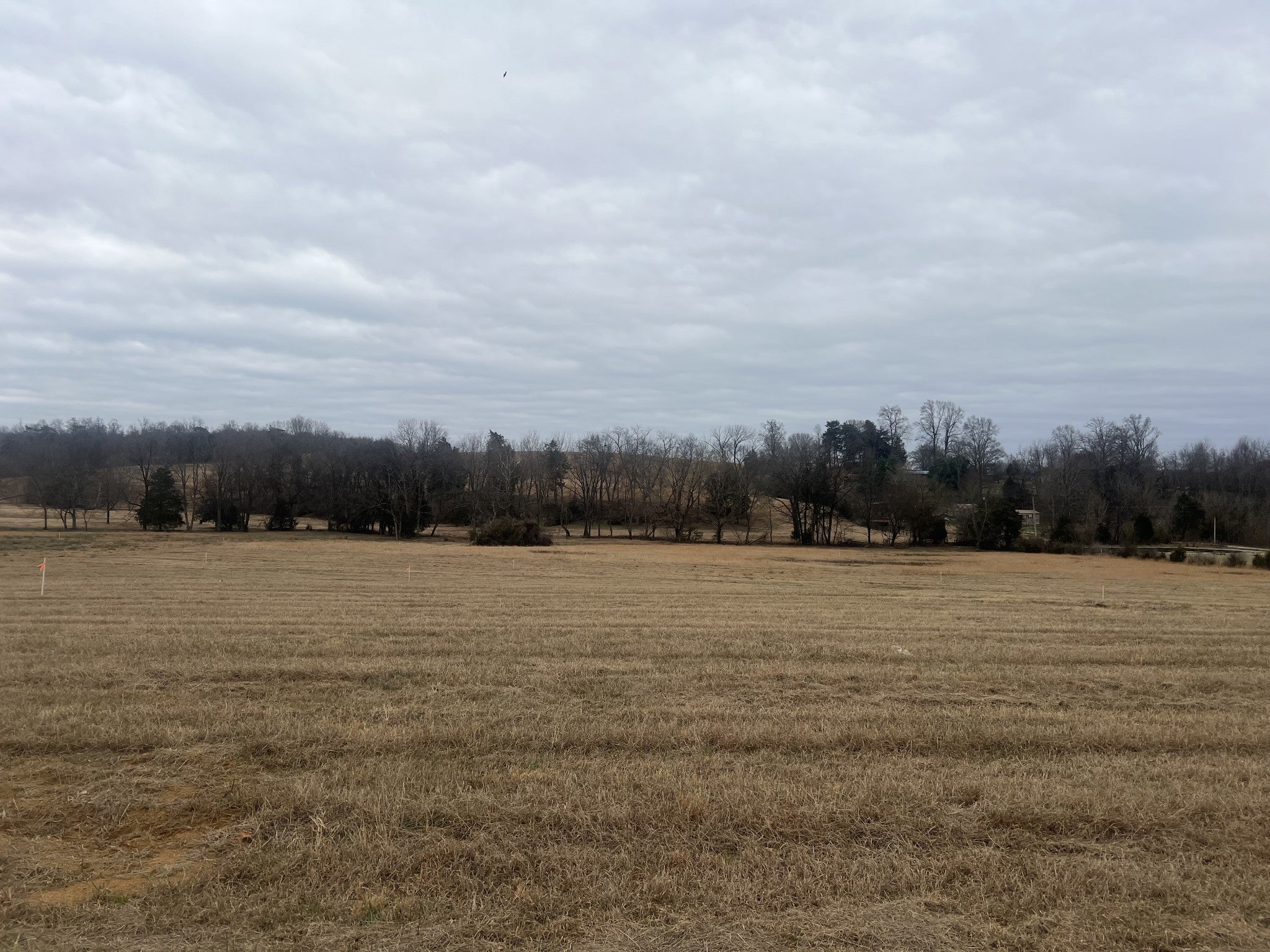 Photo of Listing #3065098