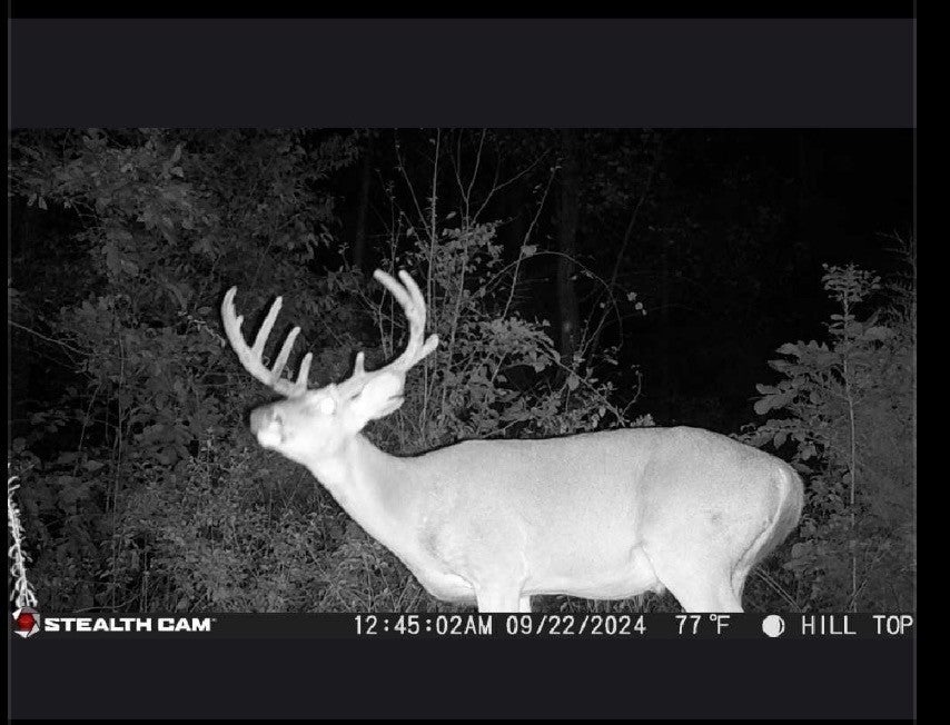 Photo of Listing #3065111