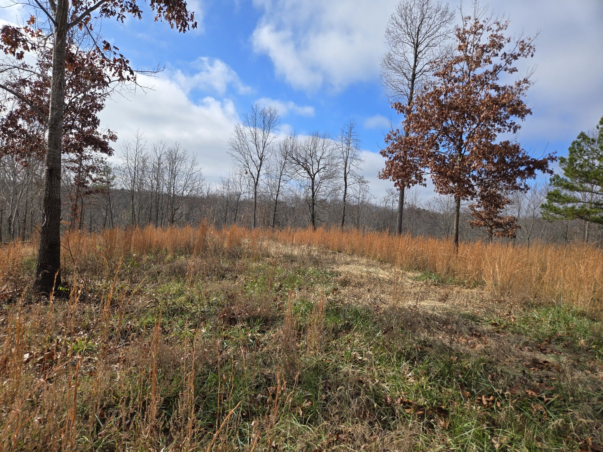 Photo of Listing #3065126