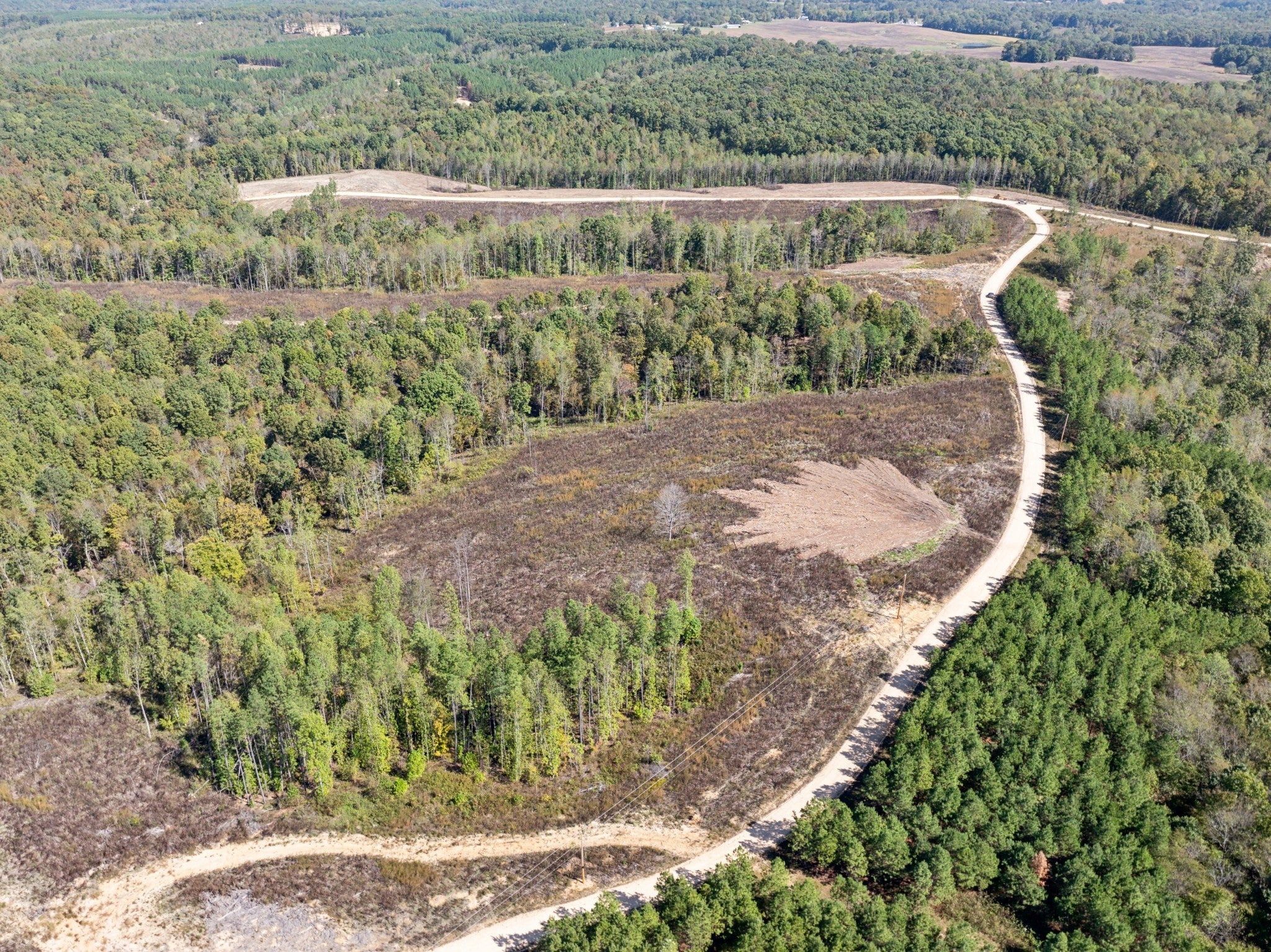 Photo of Listing #3065500