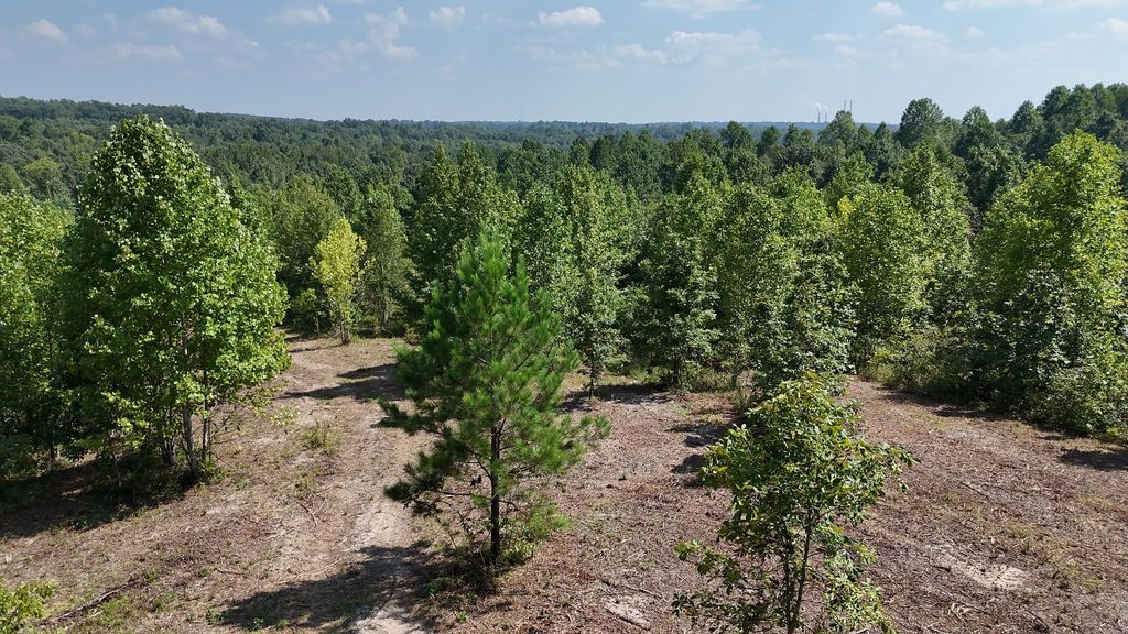 0 Freedom Ridge, Indian Mound