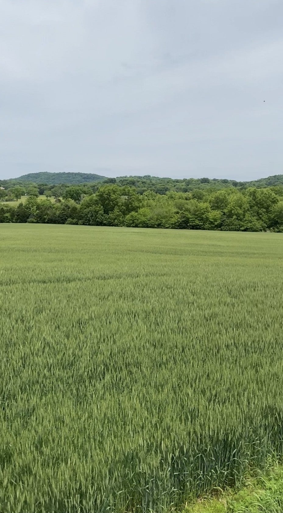 Photo of Listing #3066352