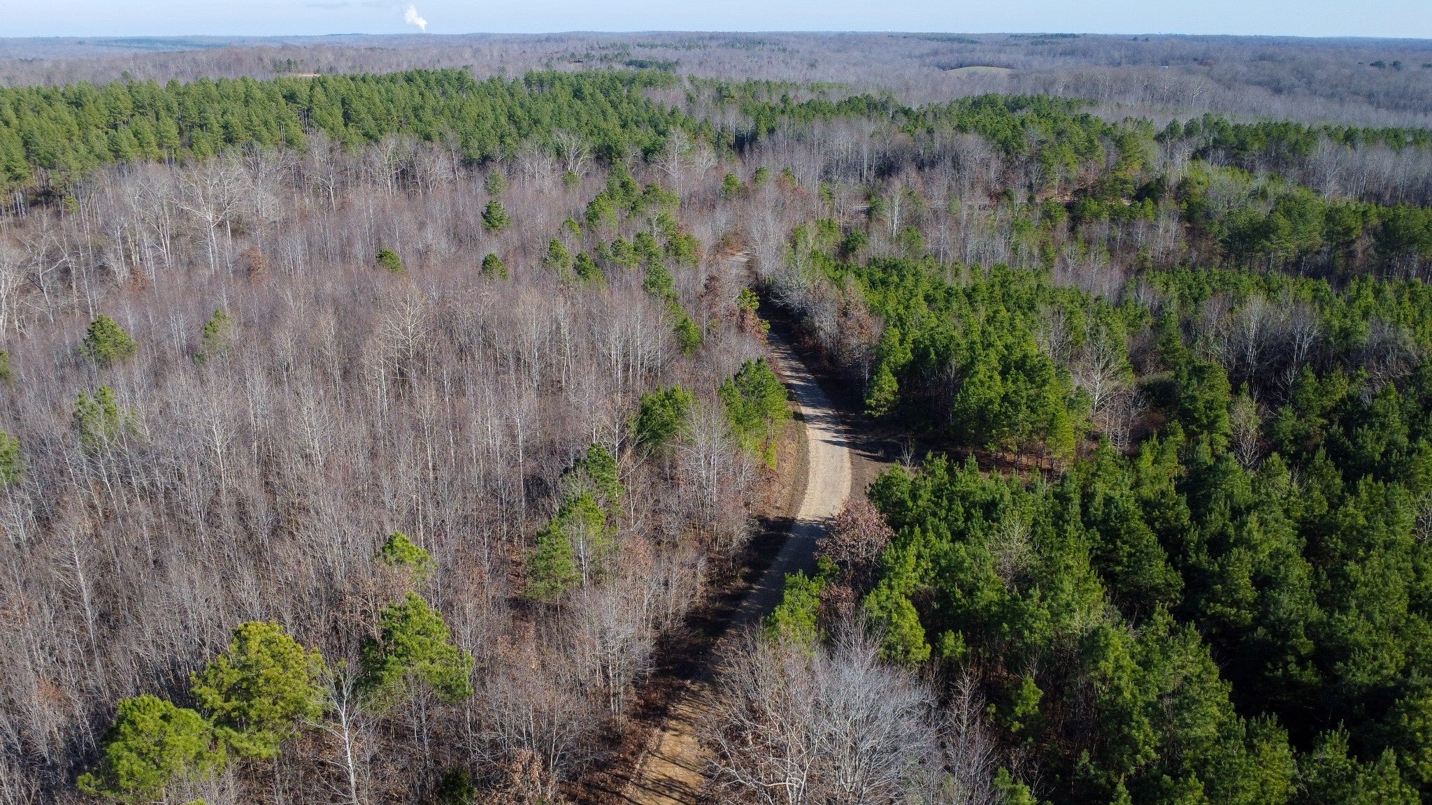 Photo of Listing #3066439