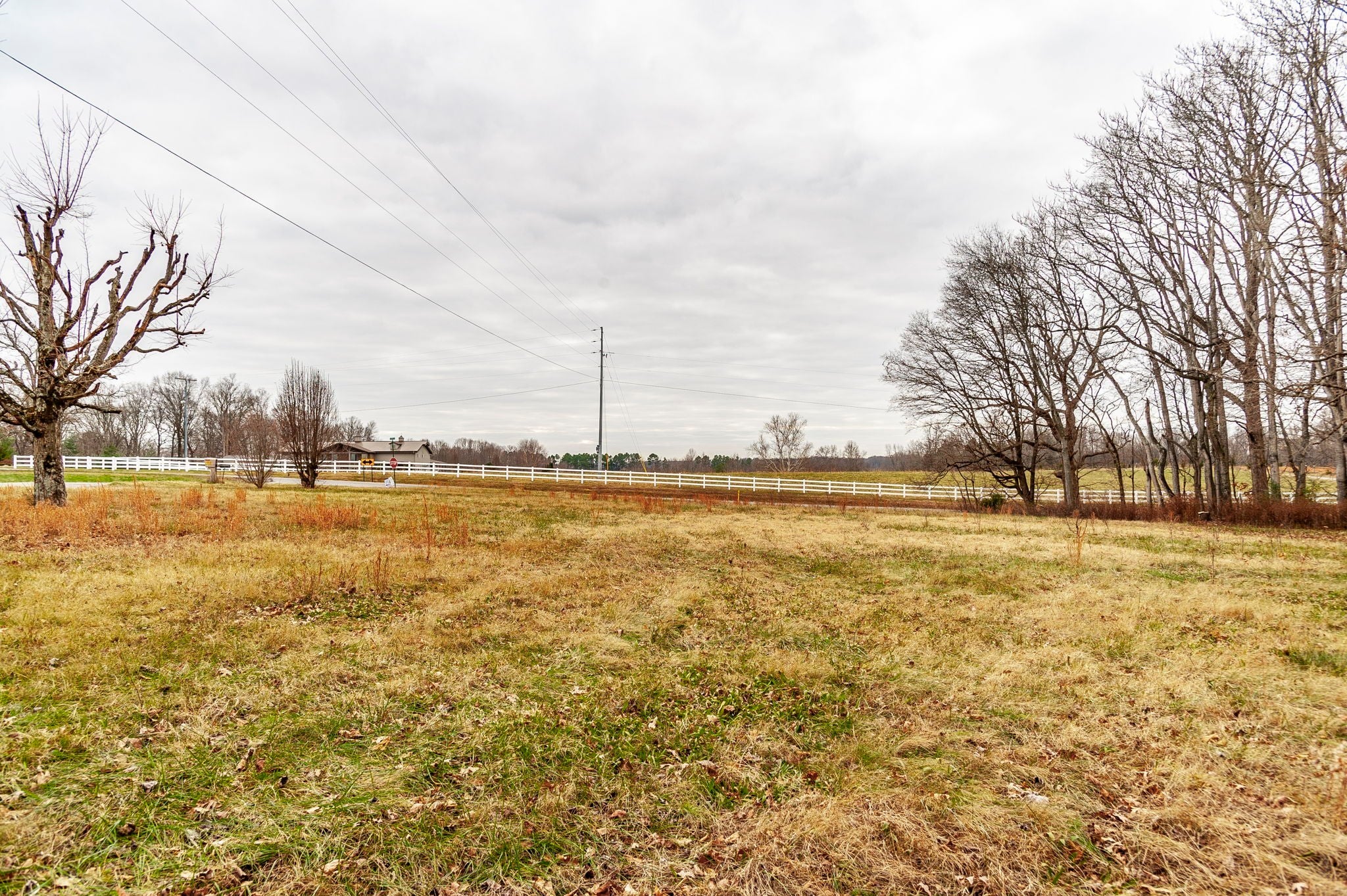 Photo of Listing #3066487