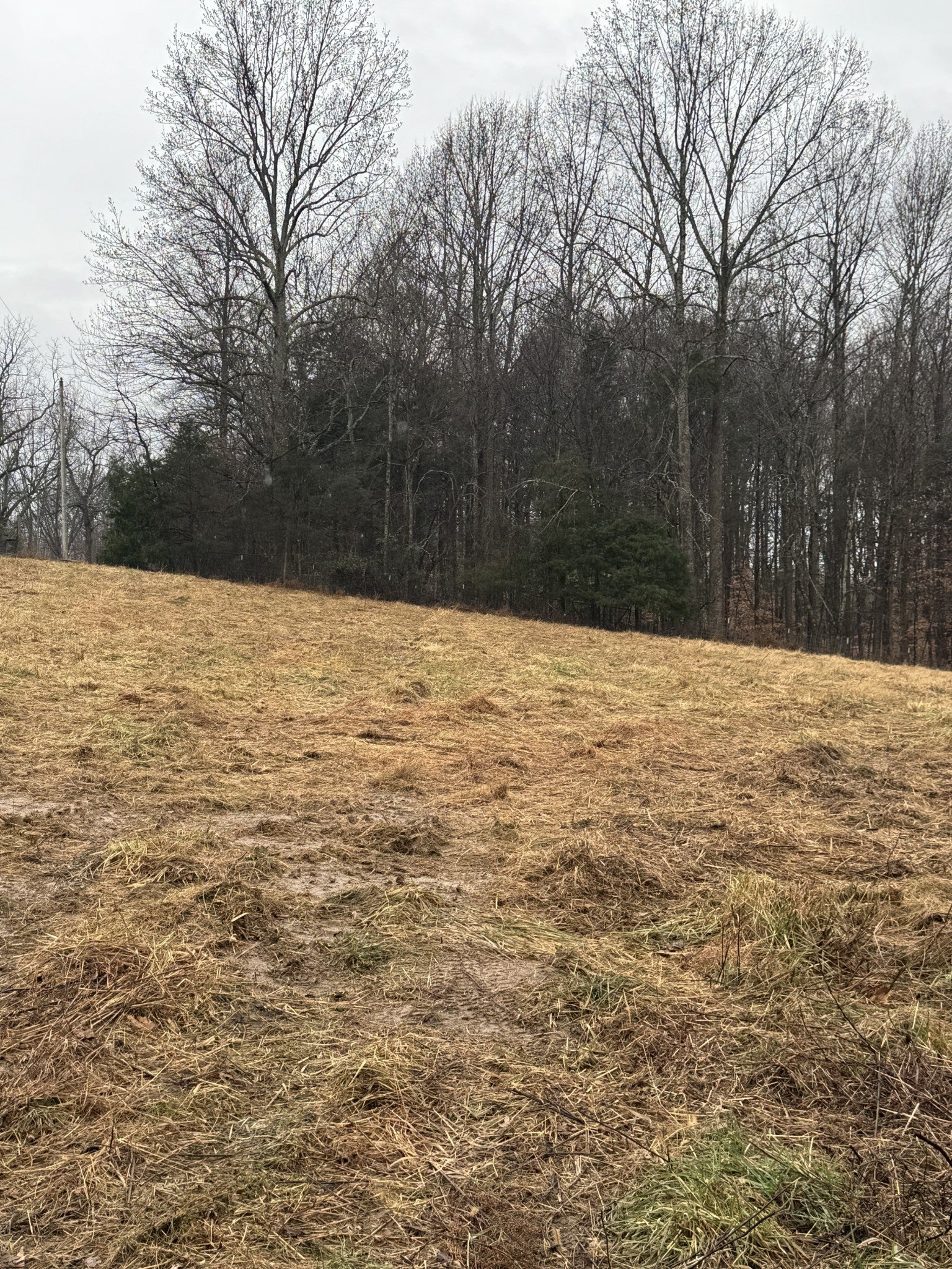 Photo of Listing #3066518