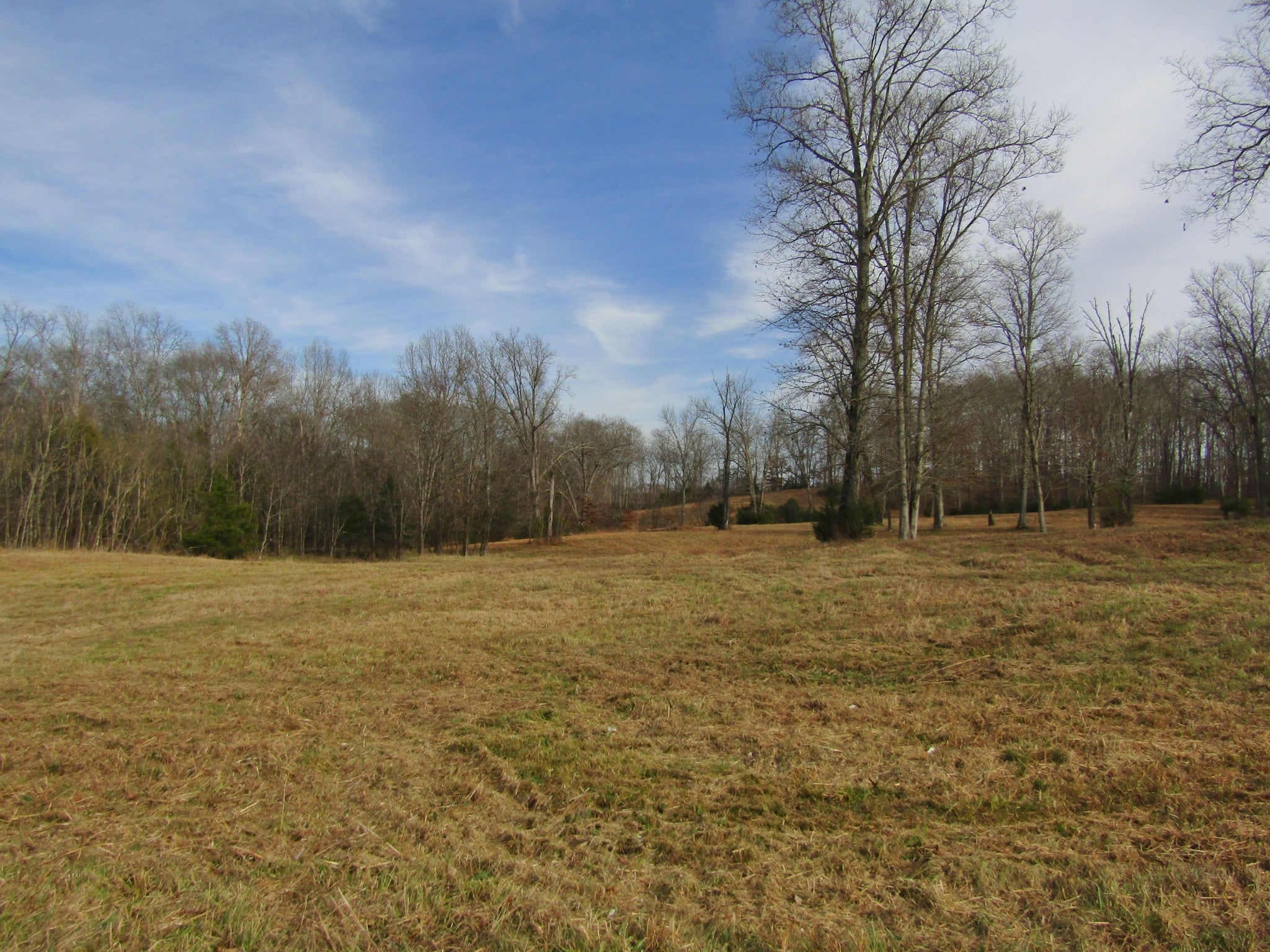 Photo of Listing #3066573